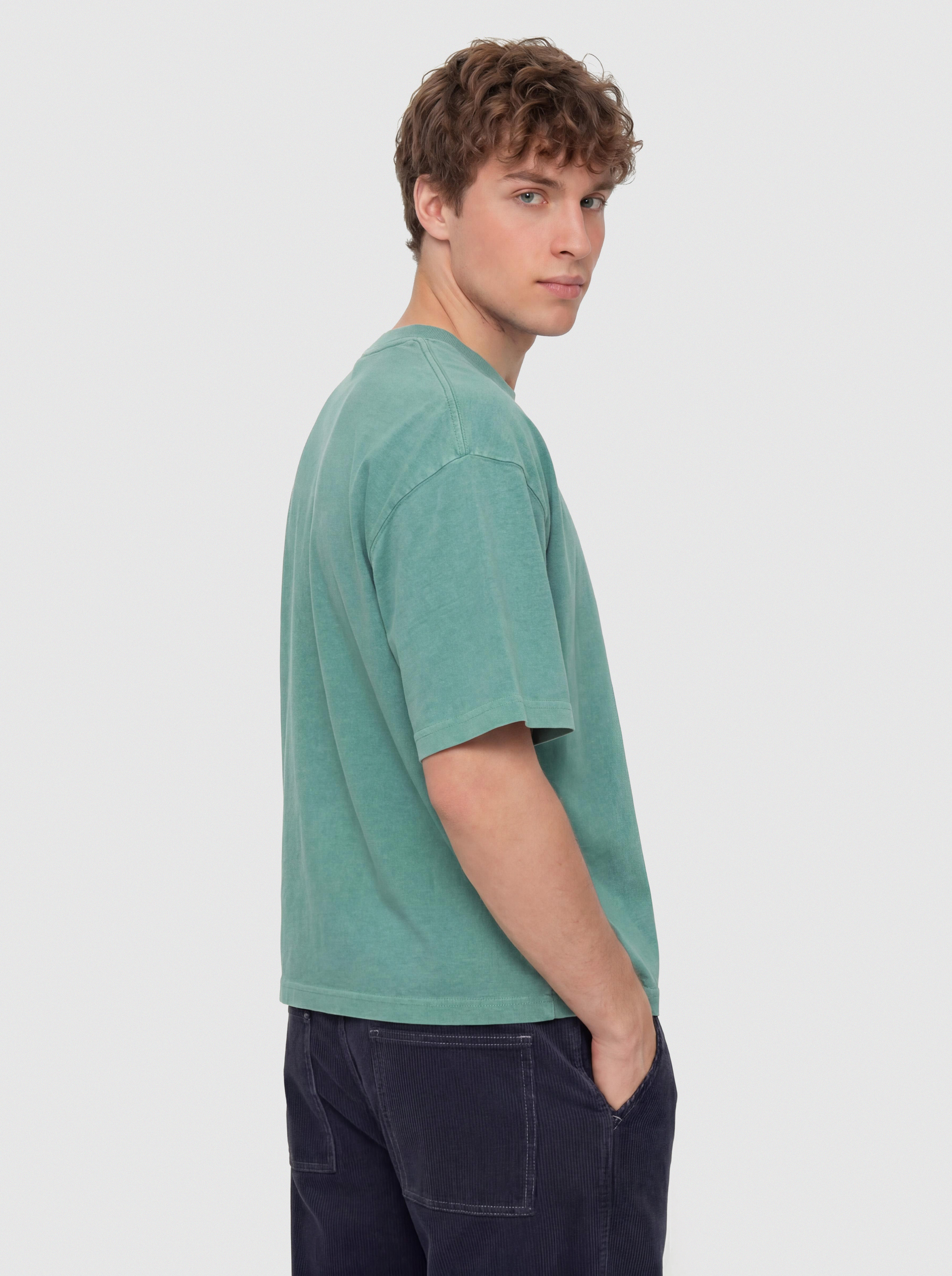 Carhartt WIP Zane T-Shirt - green (zane stripe/dollar green)