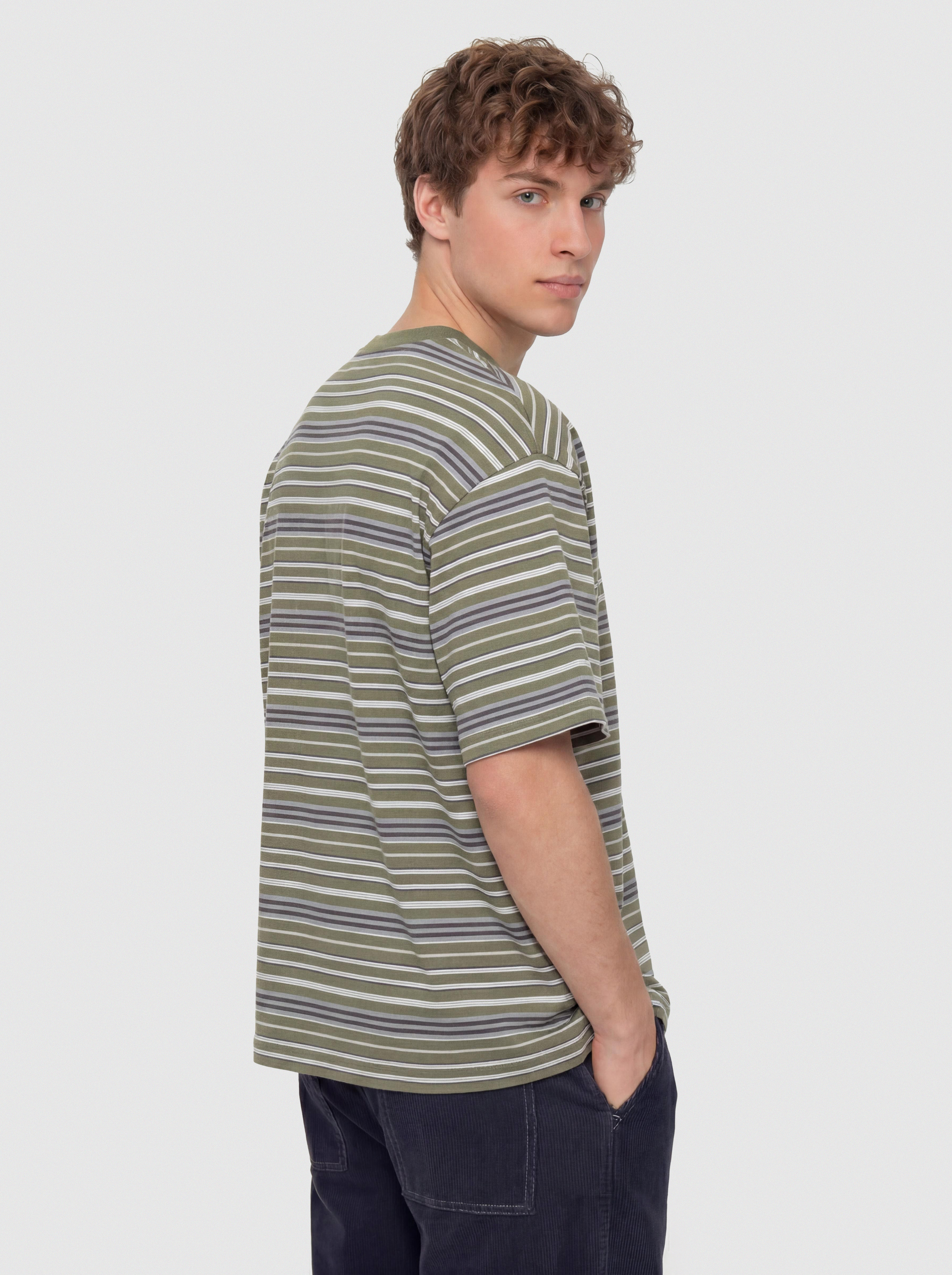 Carhartt WIP Zane T-Shirt (zane stripe/dollar green)