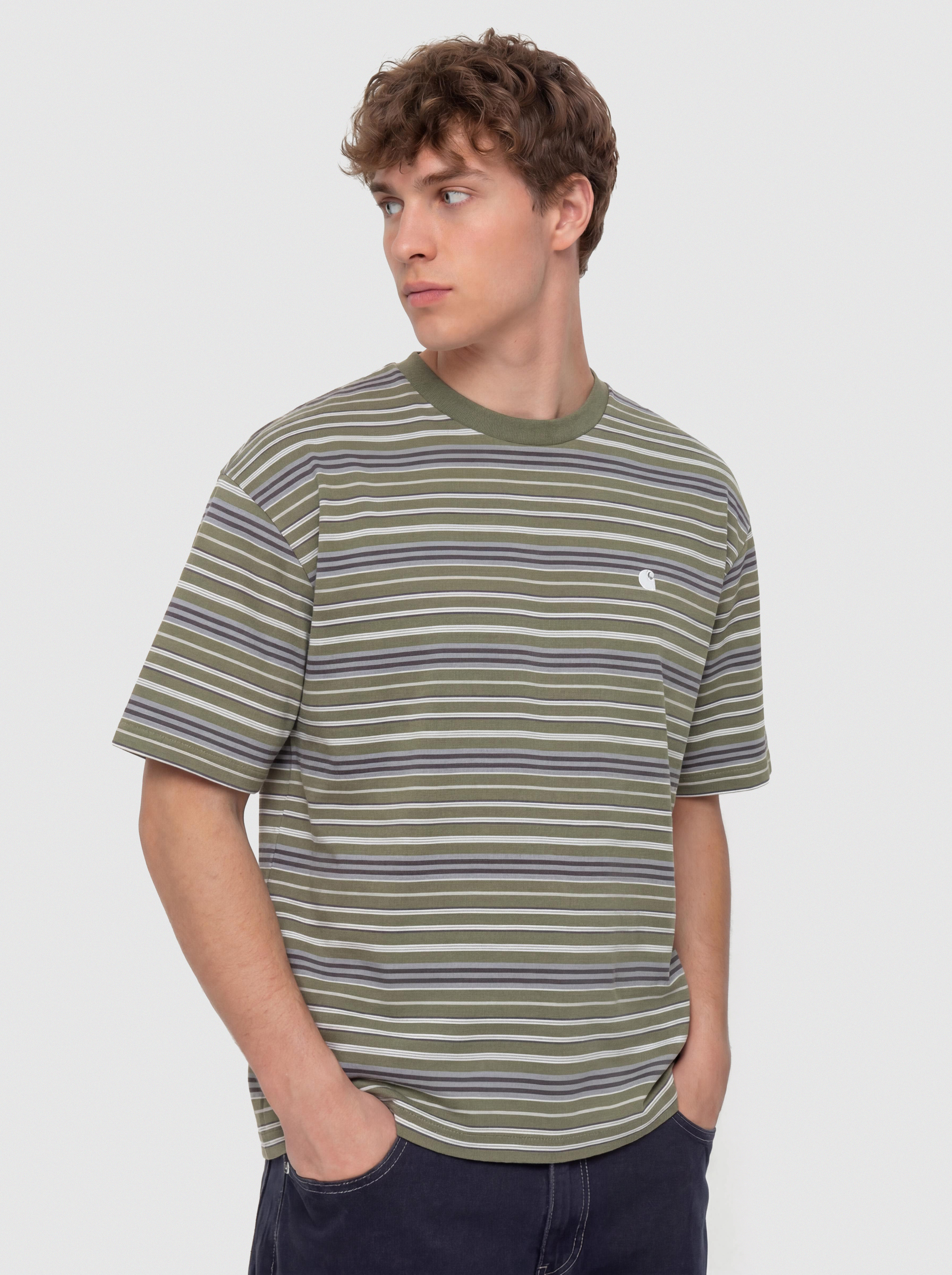 Carhartt WIP Zane T-Shirt (zane stripe/dollar green)