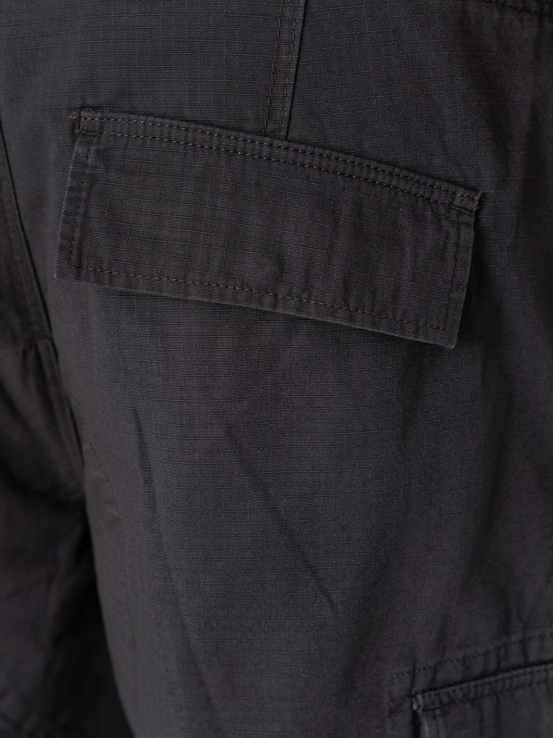Dickies Shorts Eagle Bend (charcoal grey)