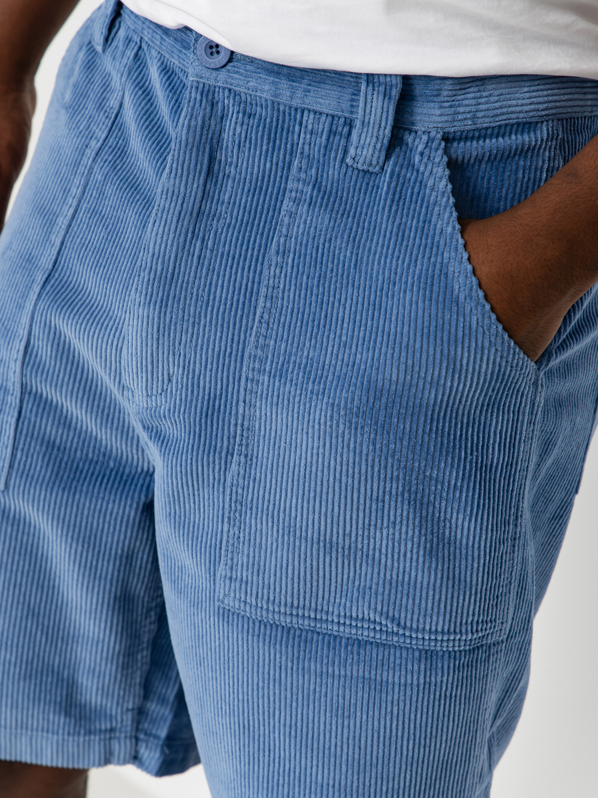 Santa Cruz Shorts Opus Dot Workwear (fresh blue)