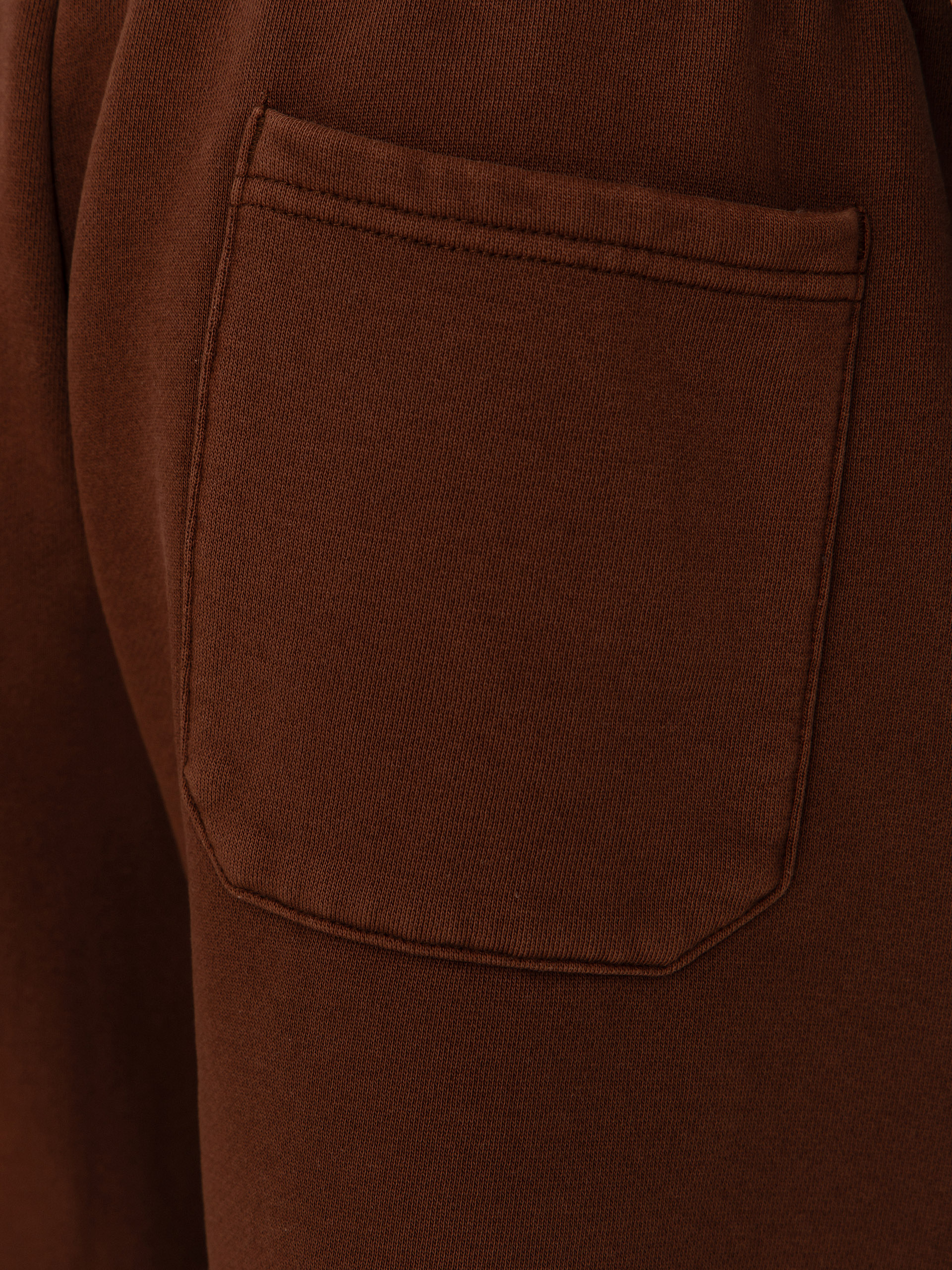 Santa Cruz Shorts Winkowski Eighth Planet (coffee)
