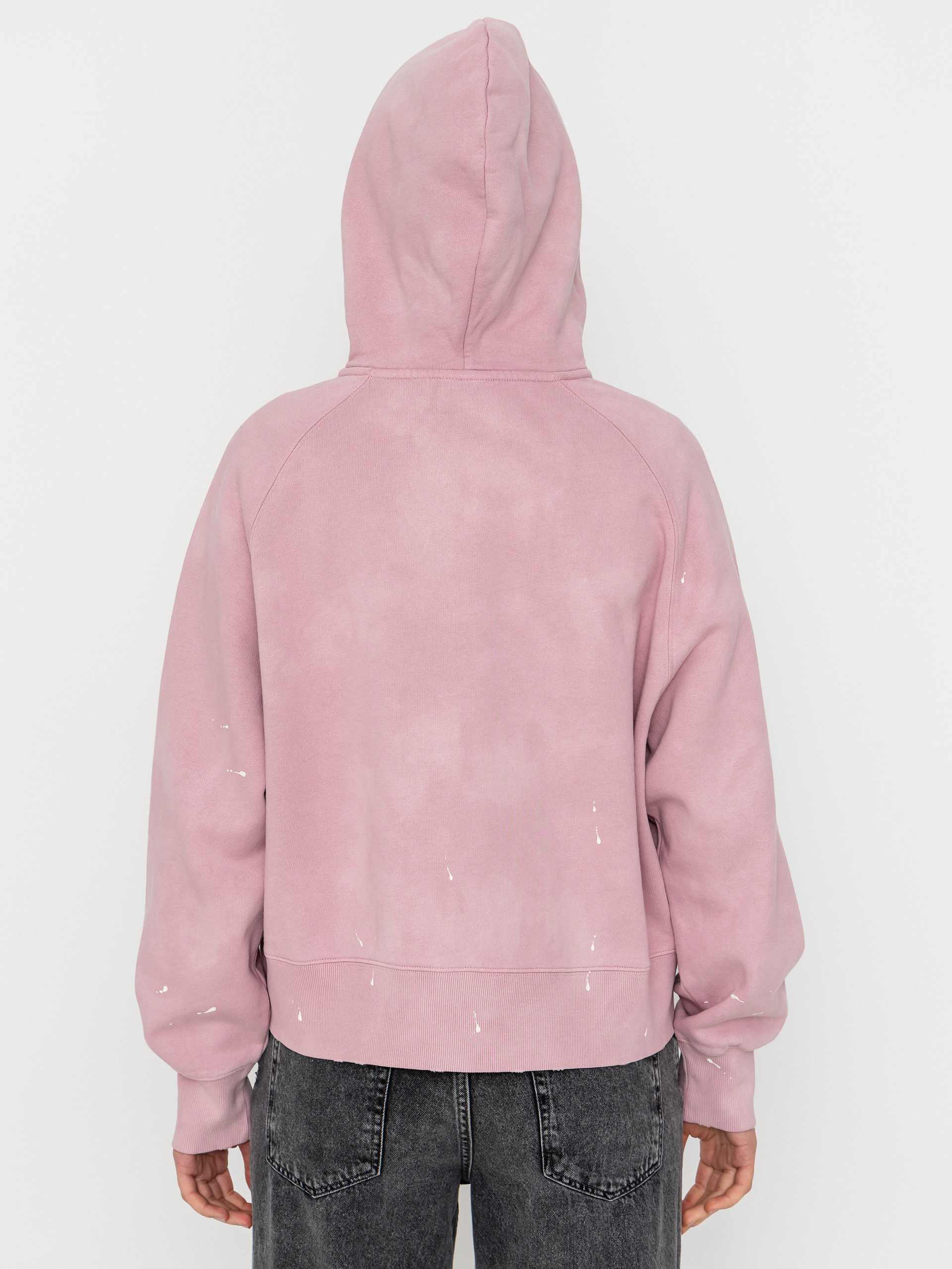 Carhartt WIP Hoodie Painter ZHD Wmn (hortensia)