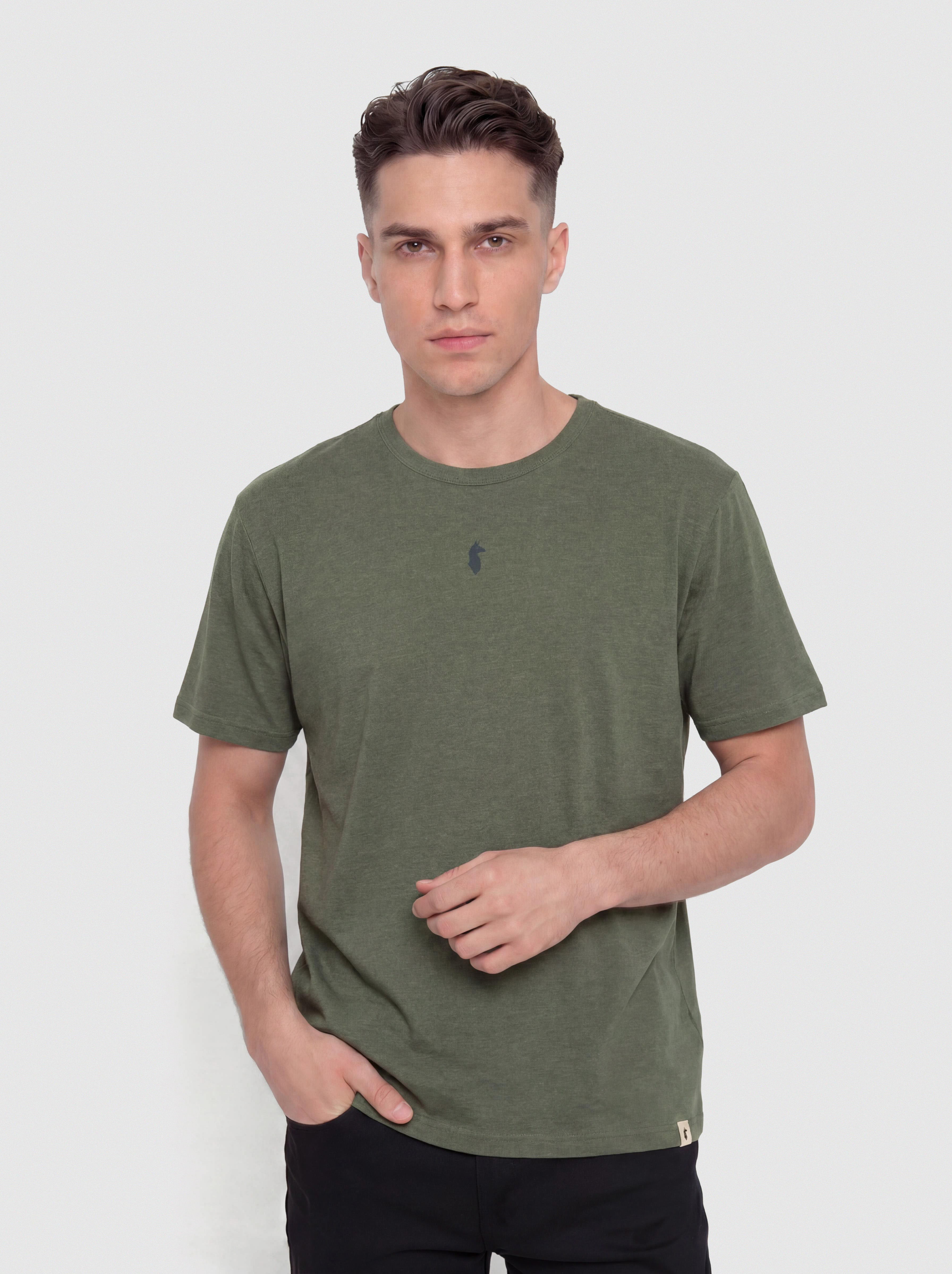 Cotopaxi T-Shirt Llama Icon