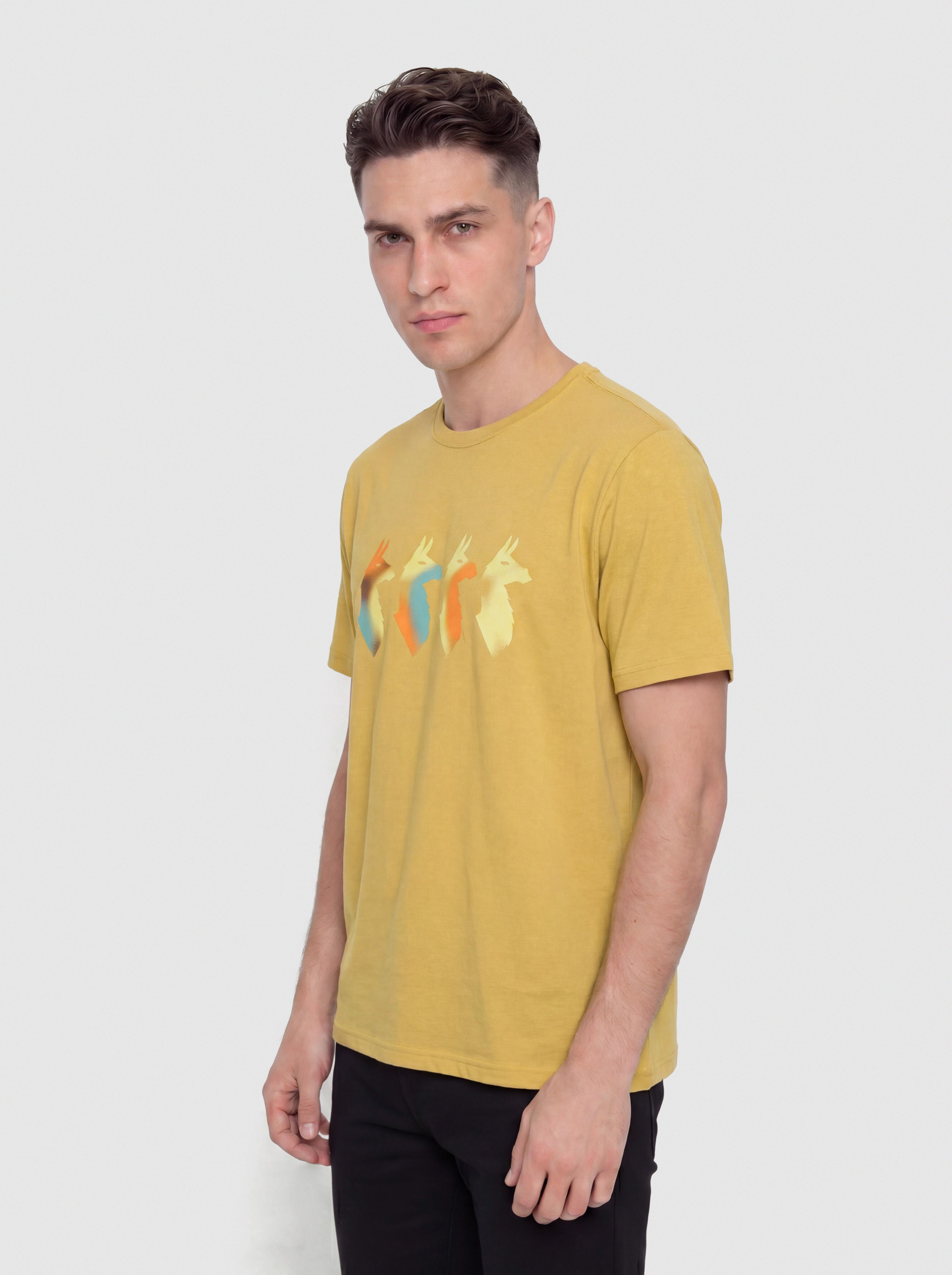 Cotopaxi Cuatro Bitmap T-Shirt (husk)