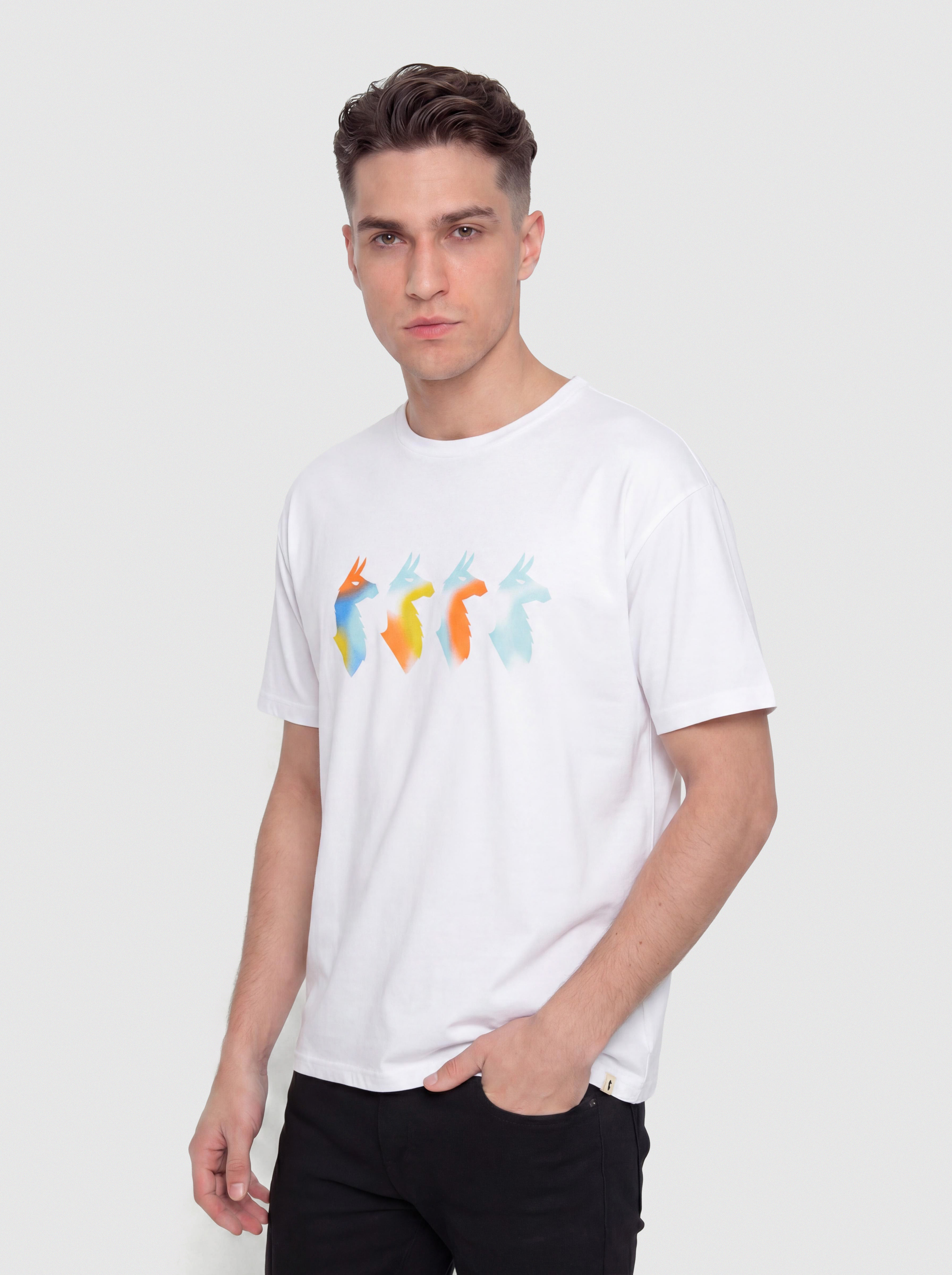 Cotopaxi Cuatro Bitmap T-Shirt (white)