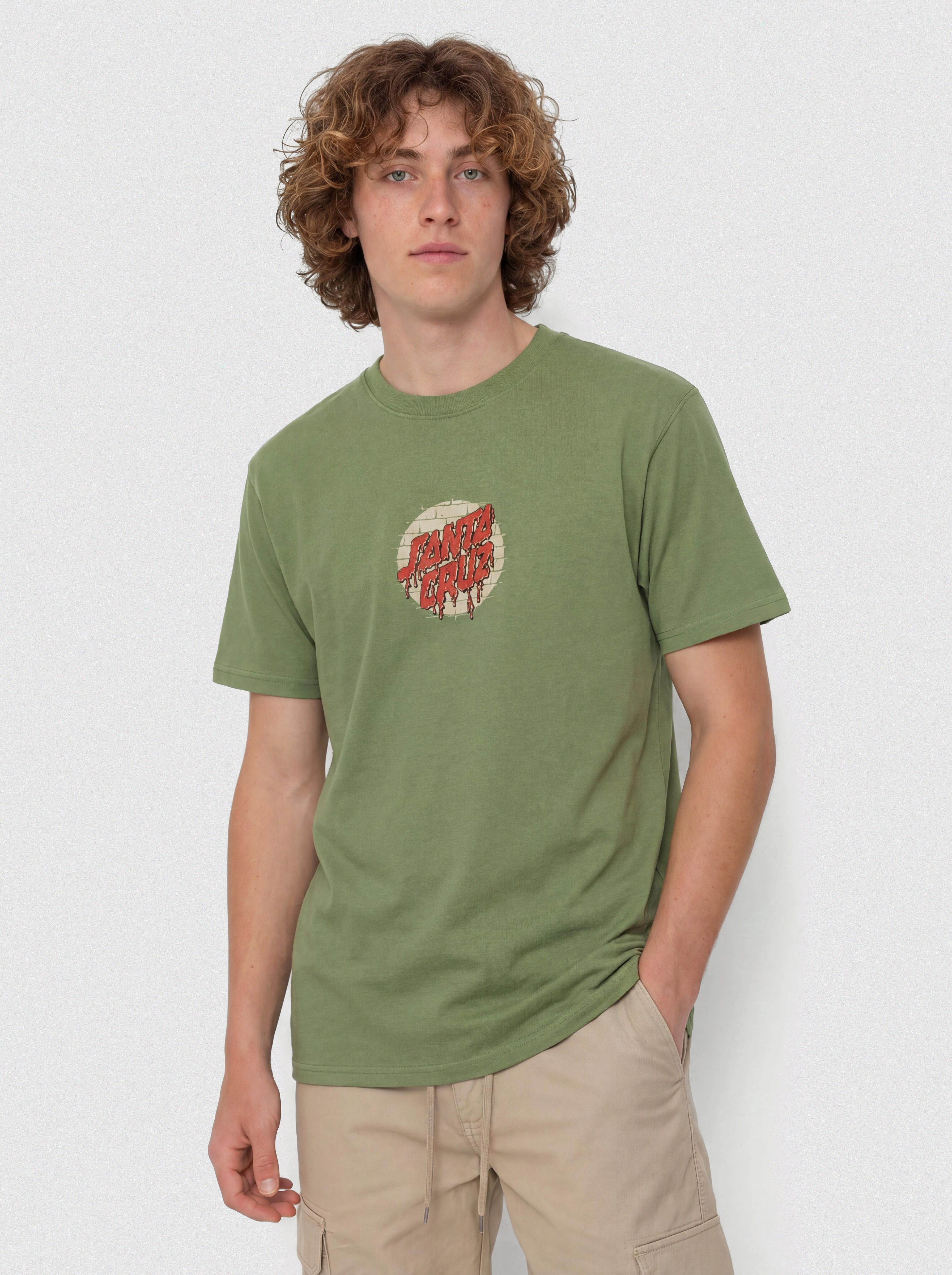 Santa Cruz T-Shirt Delfino Spotlight Fnt