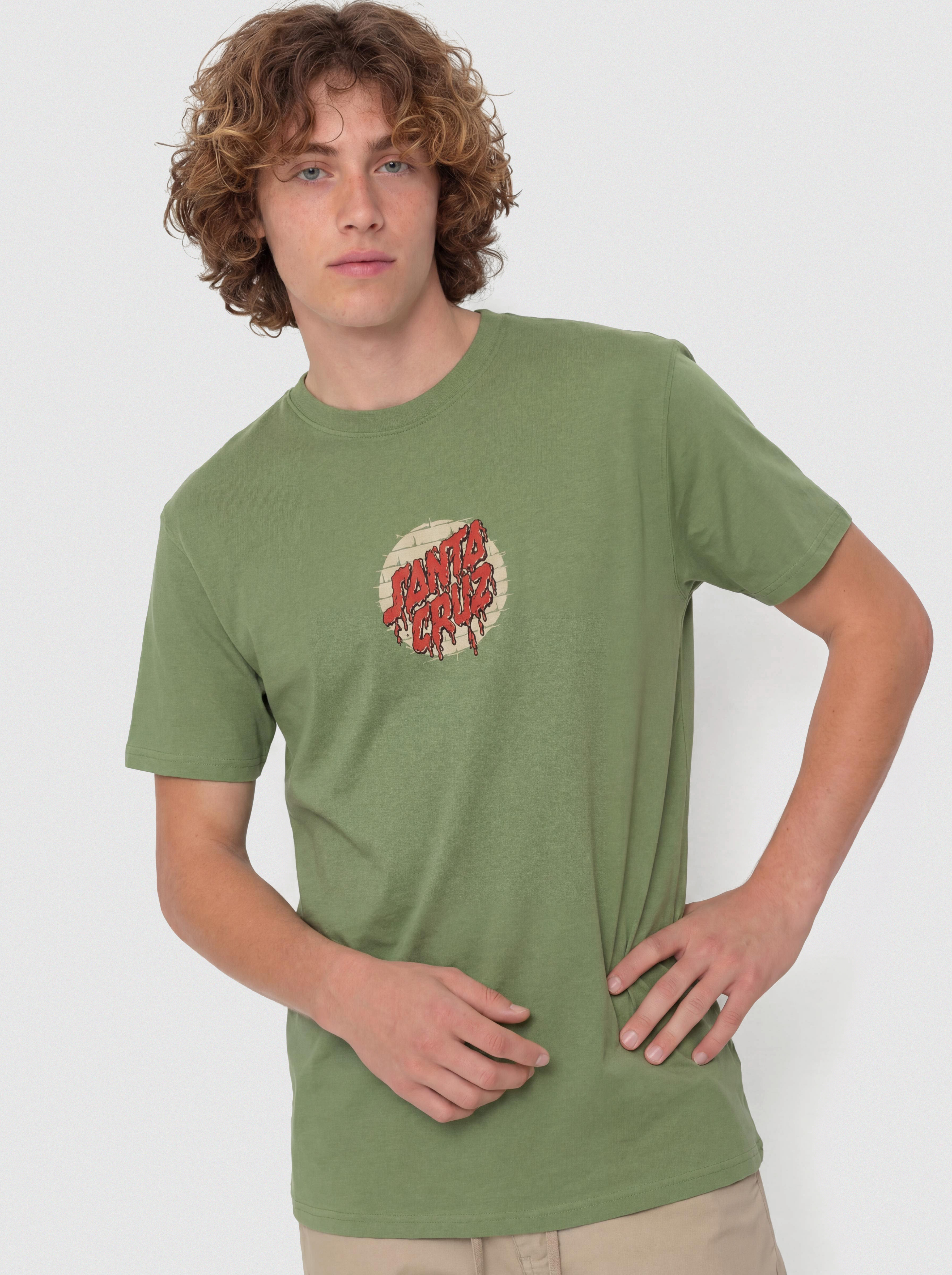 Santa Cruz T-Shirt Delfino Spotlight Fnt (dill green)
