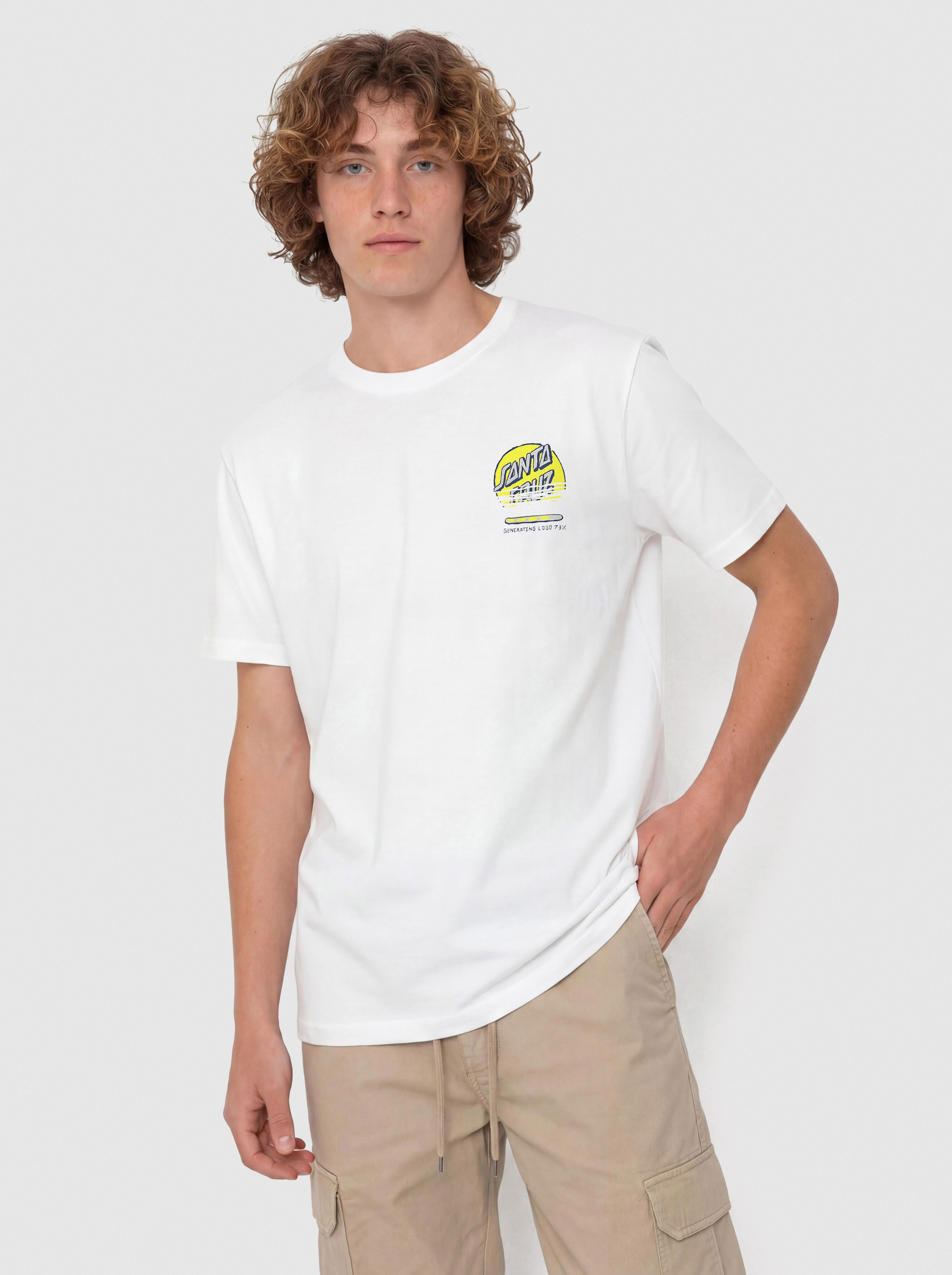 H-STREET Tシャツ santa cruz zorlac plan-b H-STREET Tシャツ santa