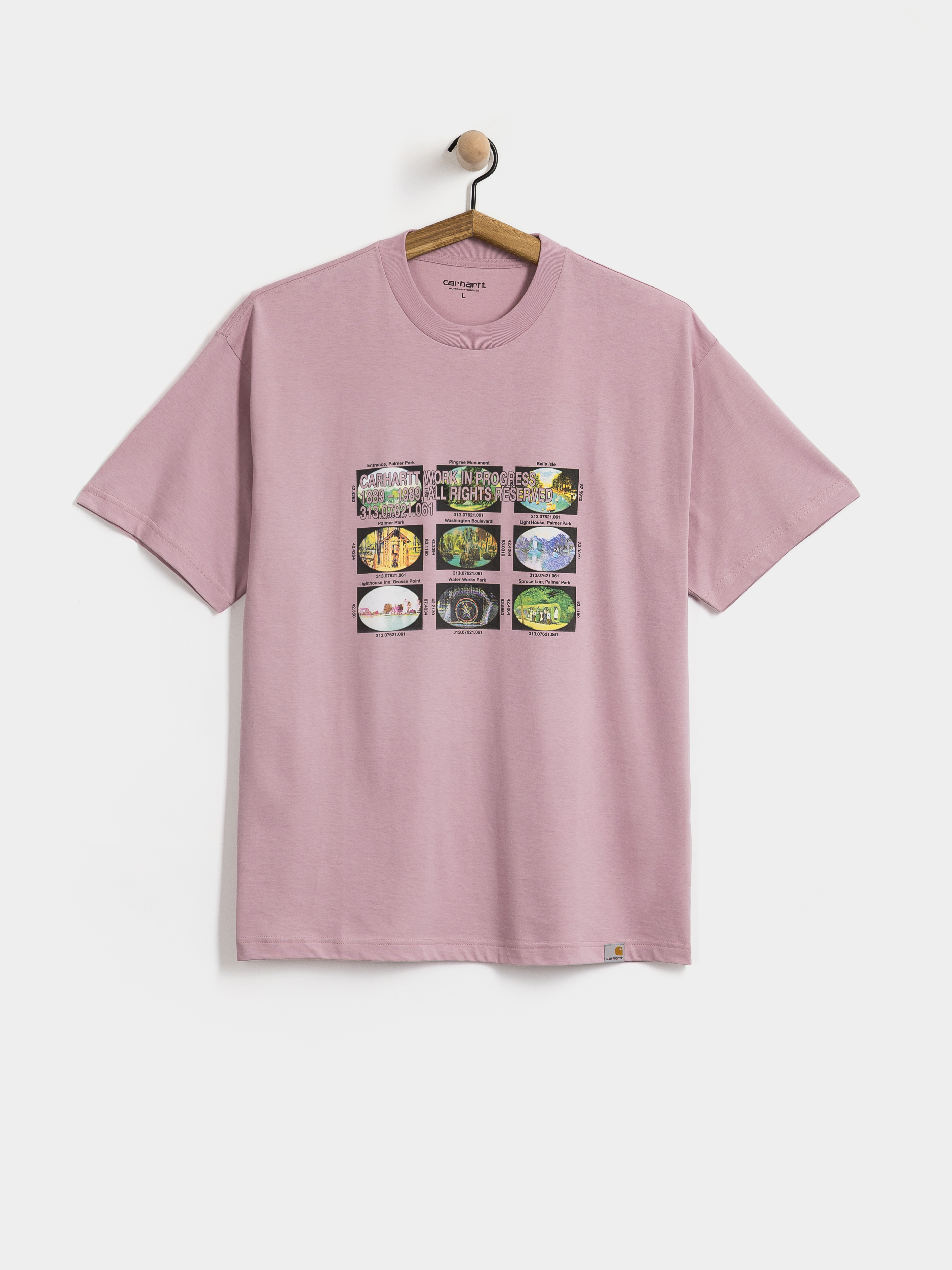 Carhartt WIP T-Shirt Coordinates (hortensia)