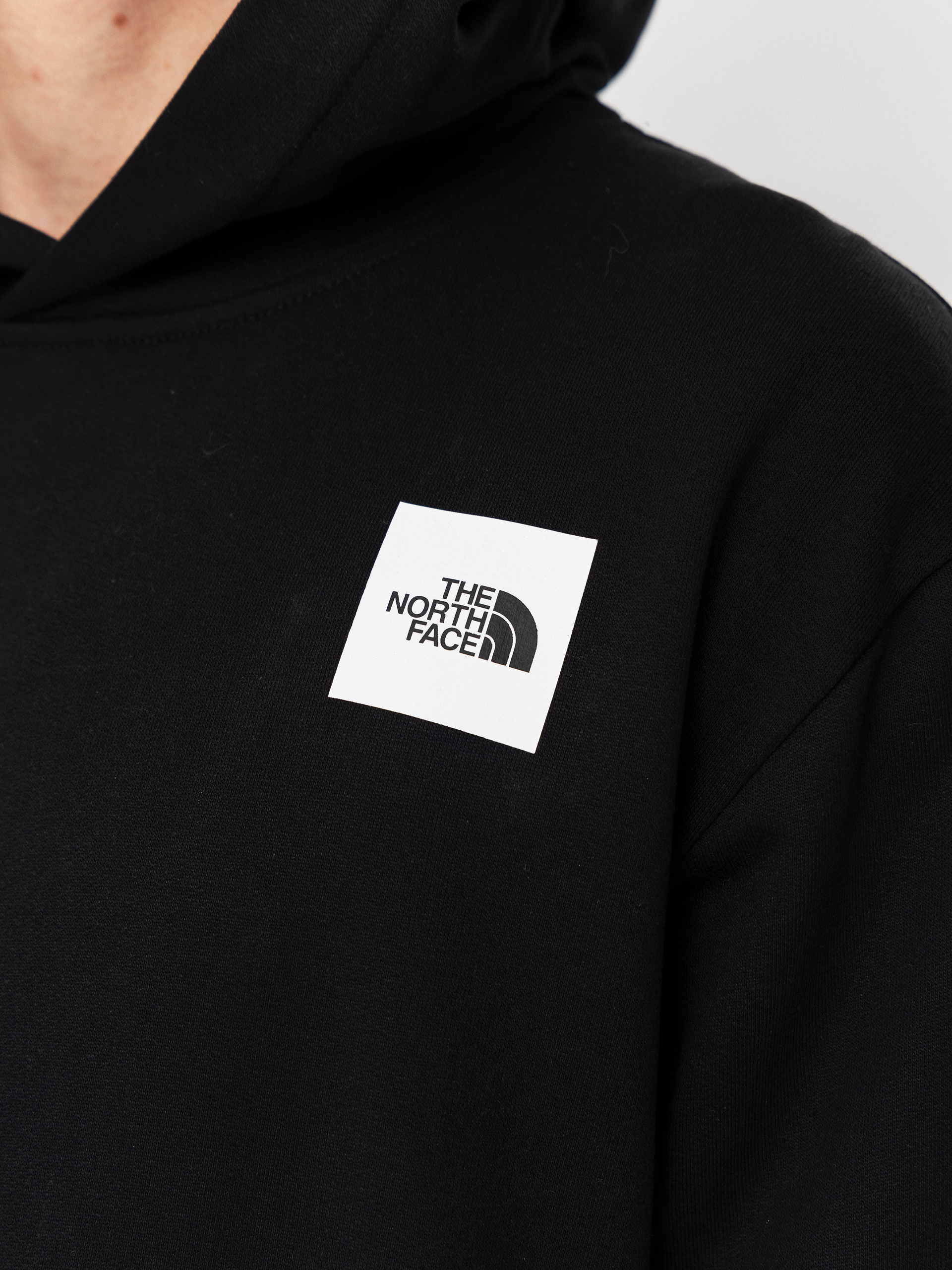 The North Face Expedition Photo Relaxed HD Hoodie (tnf black)