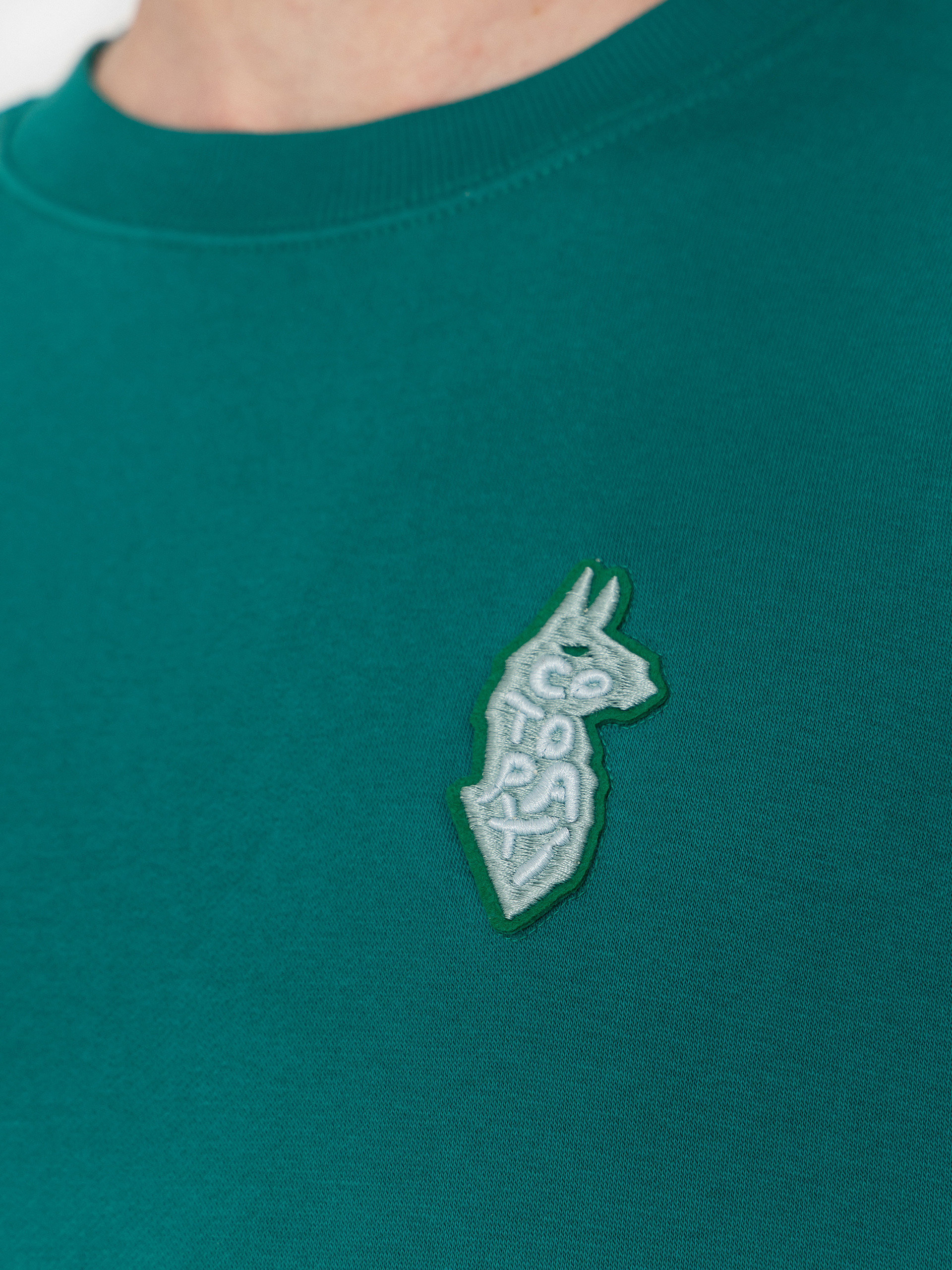 Cotopaxi Sweatshirt Lava Llama (malachite)