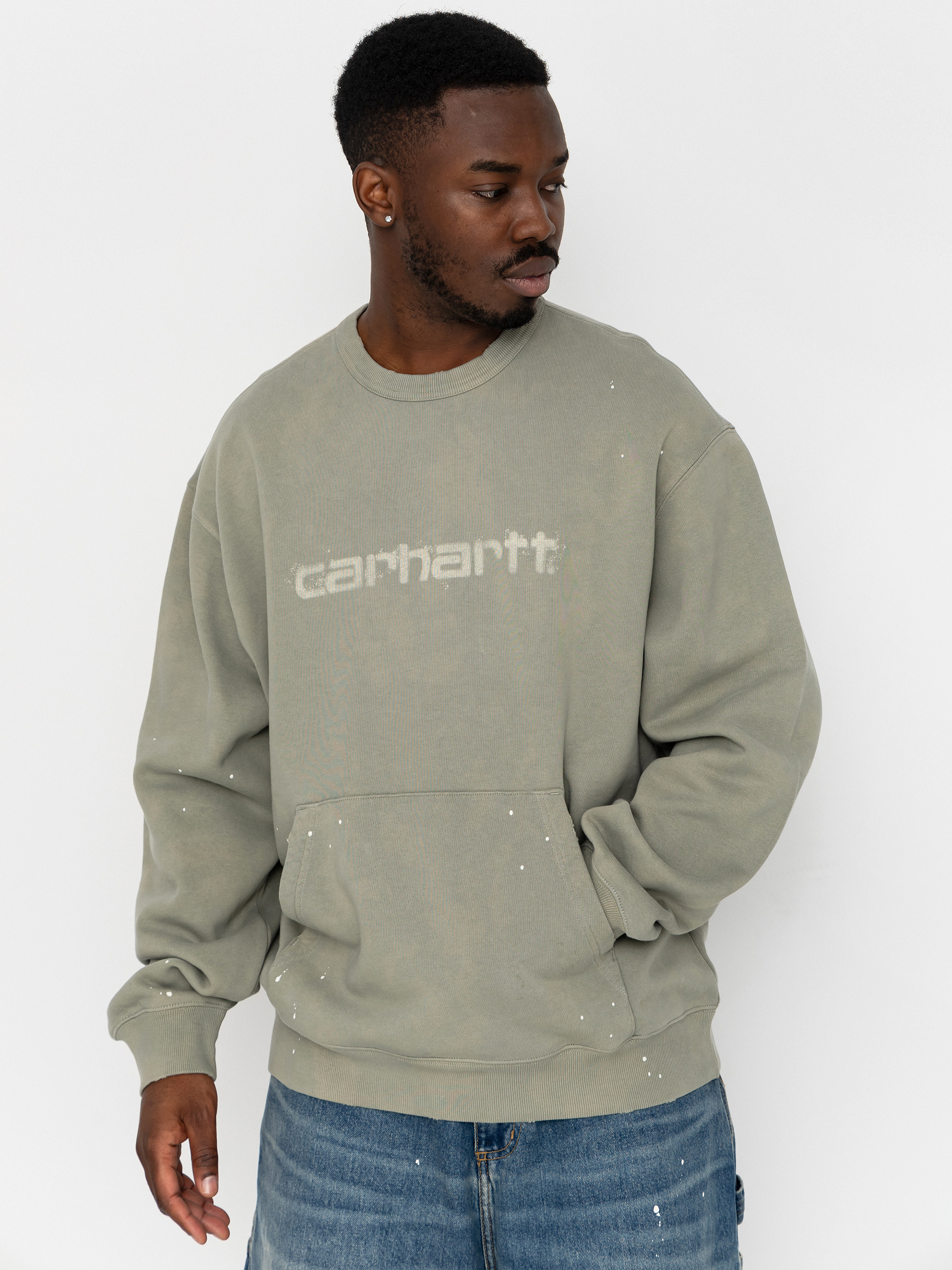 Carhartt WIP Painter Sweatshirt (shady green)