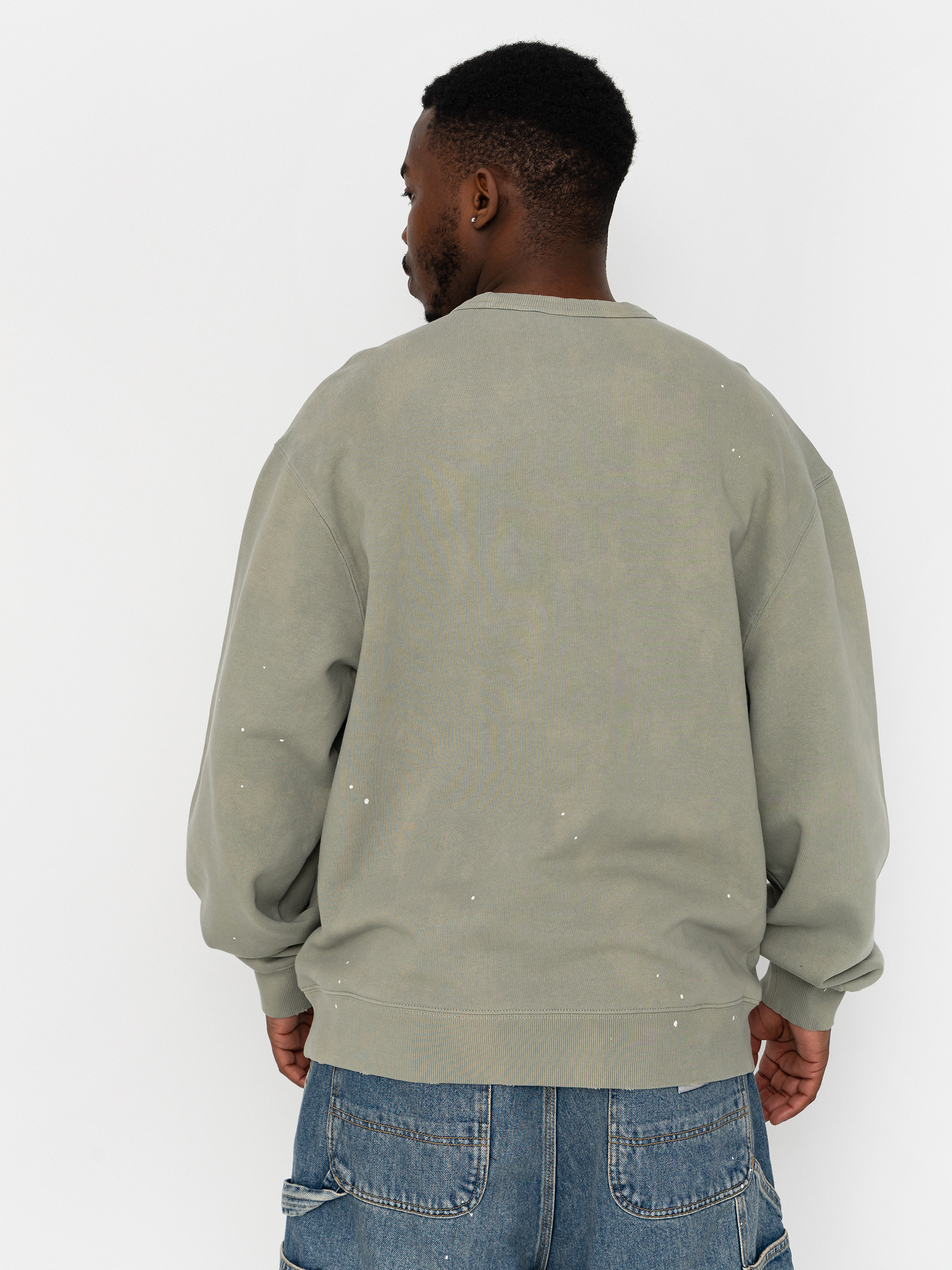 Carhartt WIP Painter Sweatshirt (shady green)
