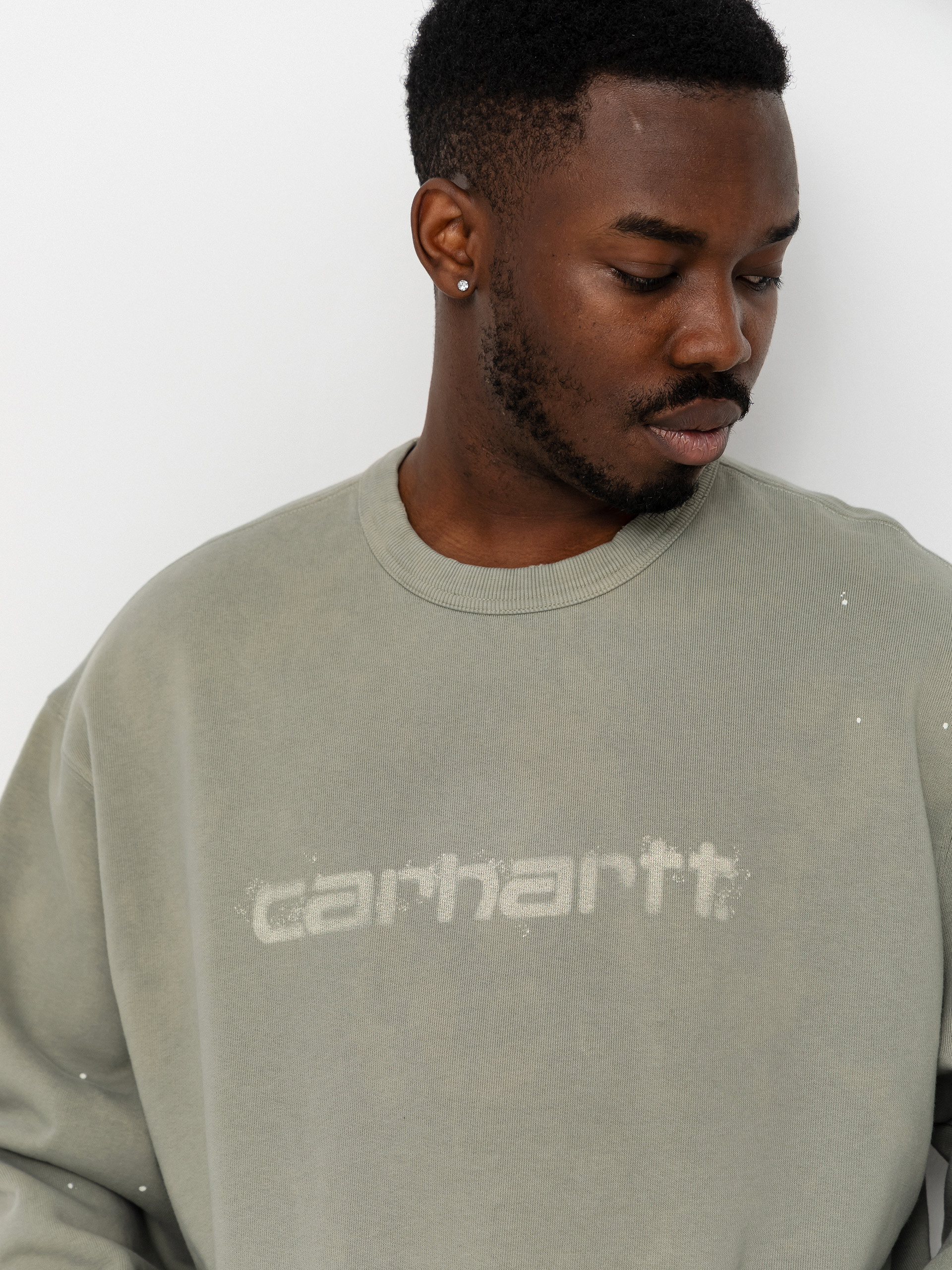 Carhartt WIP Painter Sweatshirt (shady green)