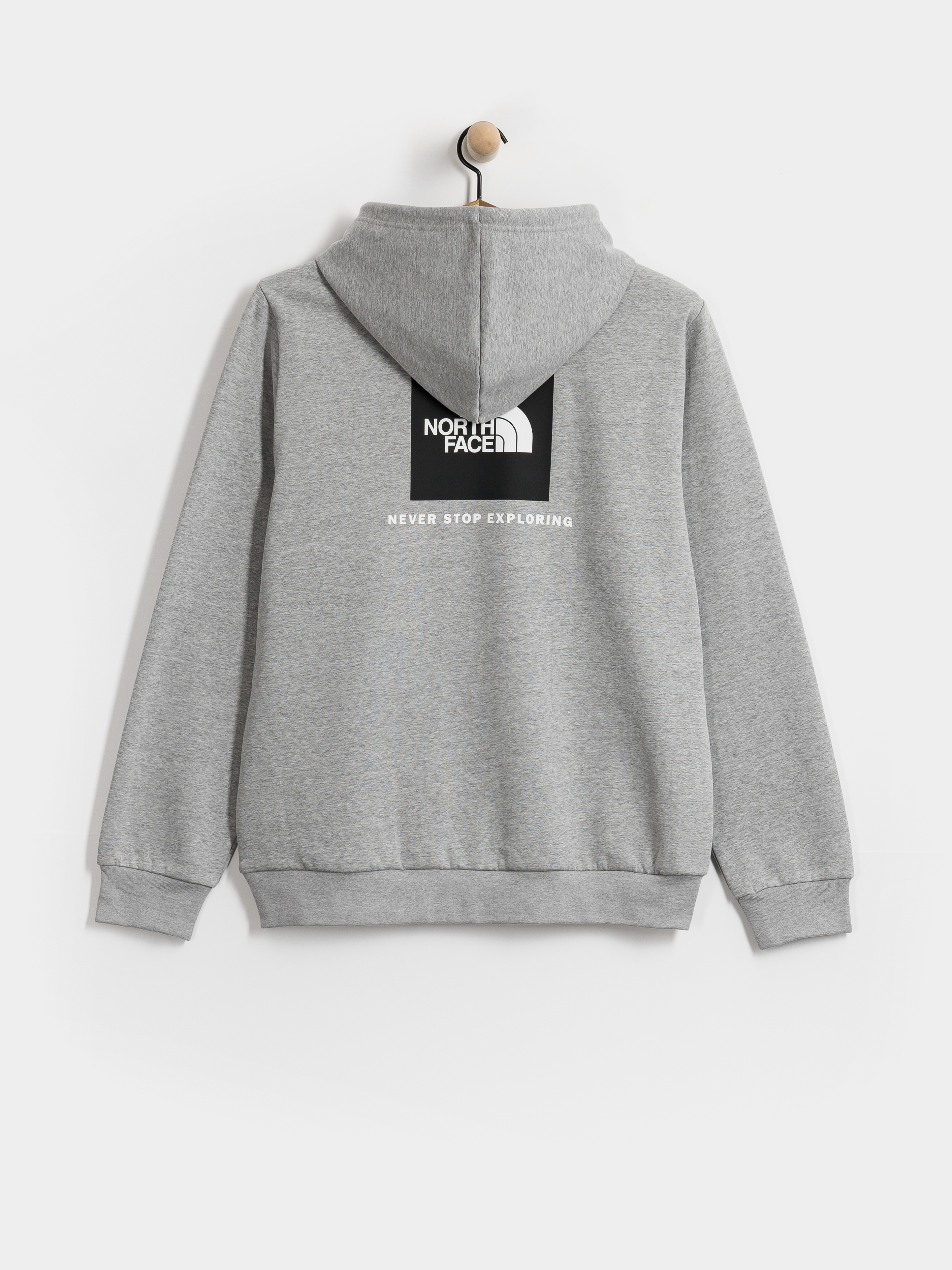 The North Face Evolution Box Nse Regular HD Hoodie (tnf pale grey heather)