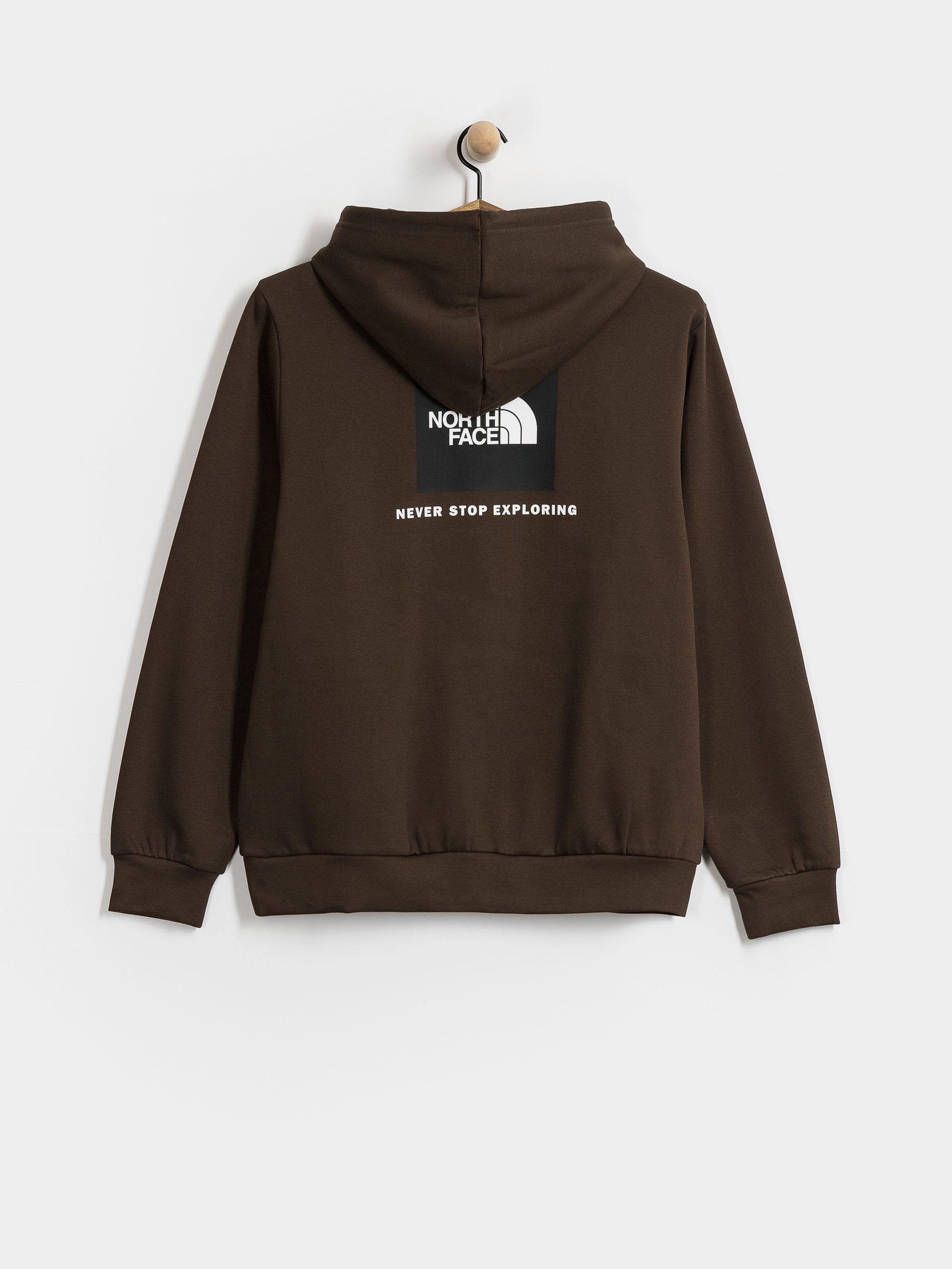The North Face Evolution Box Nse Regular HD Hoodie (dark chestnut)