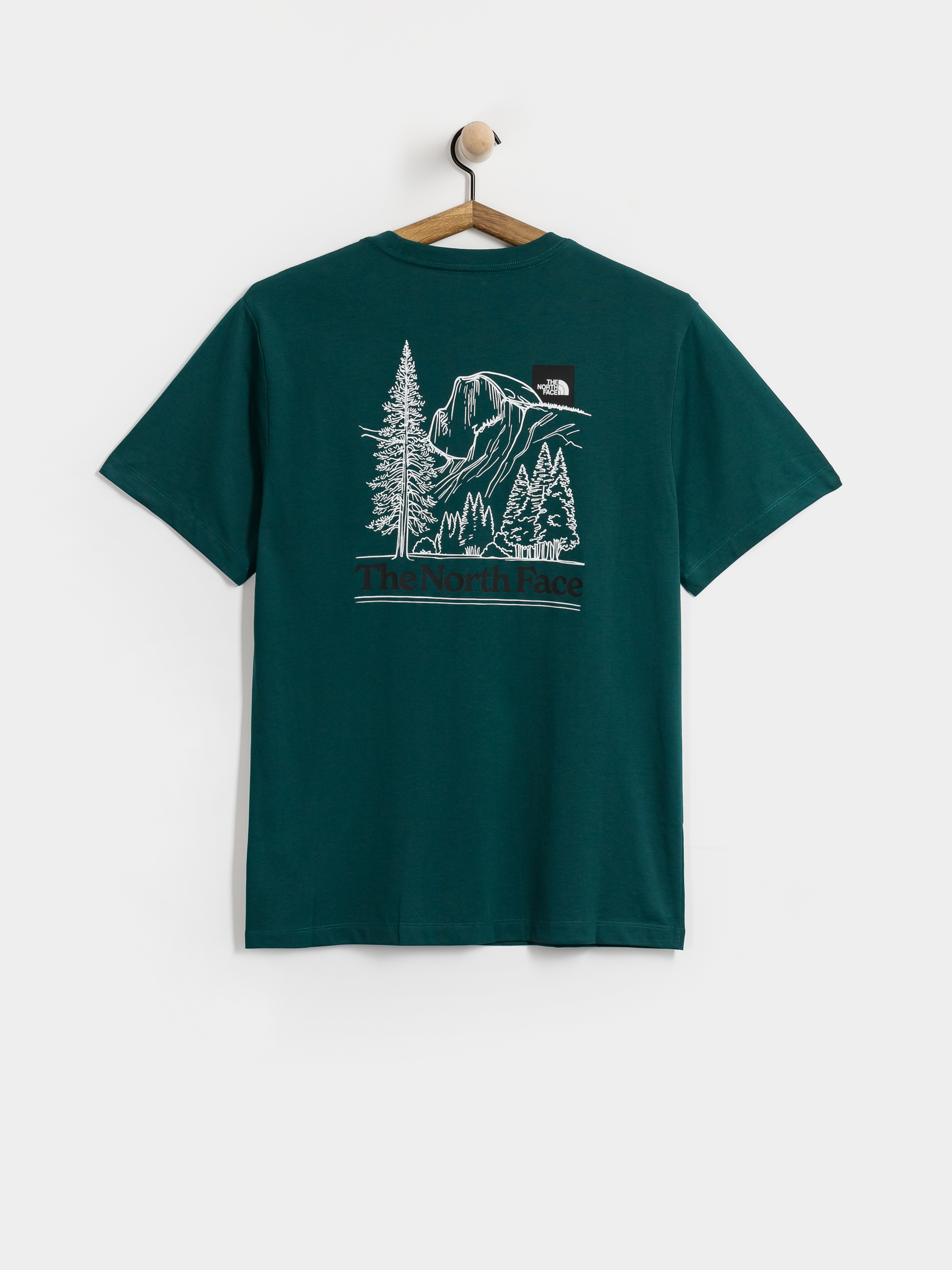 The North Face T-Shirt Monte Regular (pacific teal)