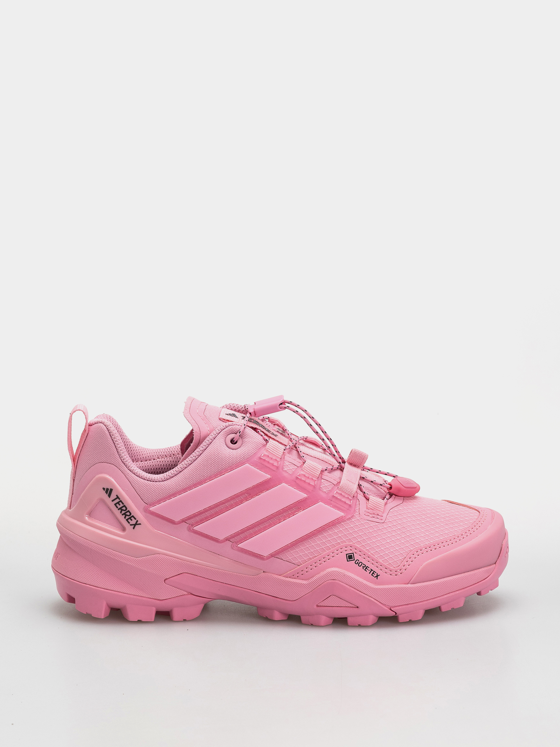 adidas Terrex Skychaser Gt Wmn Shoes (sttrbl/sttrbl/carbon)
