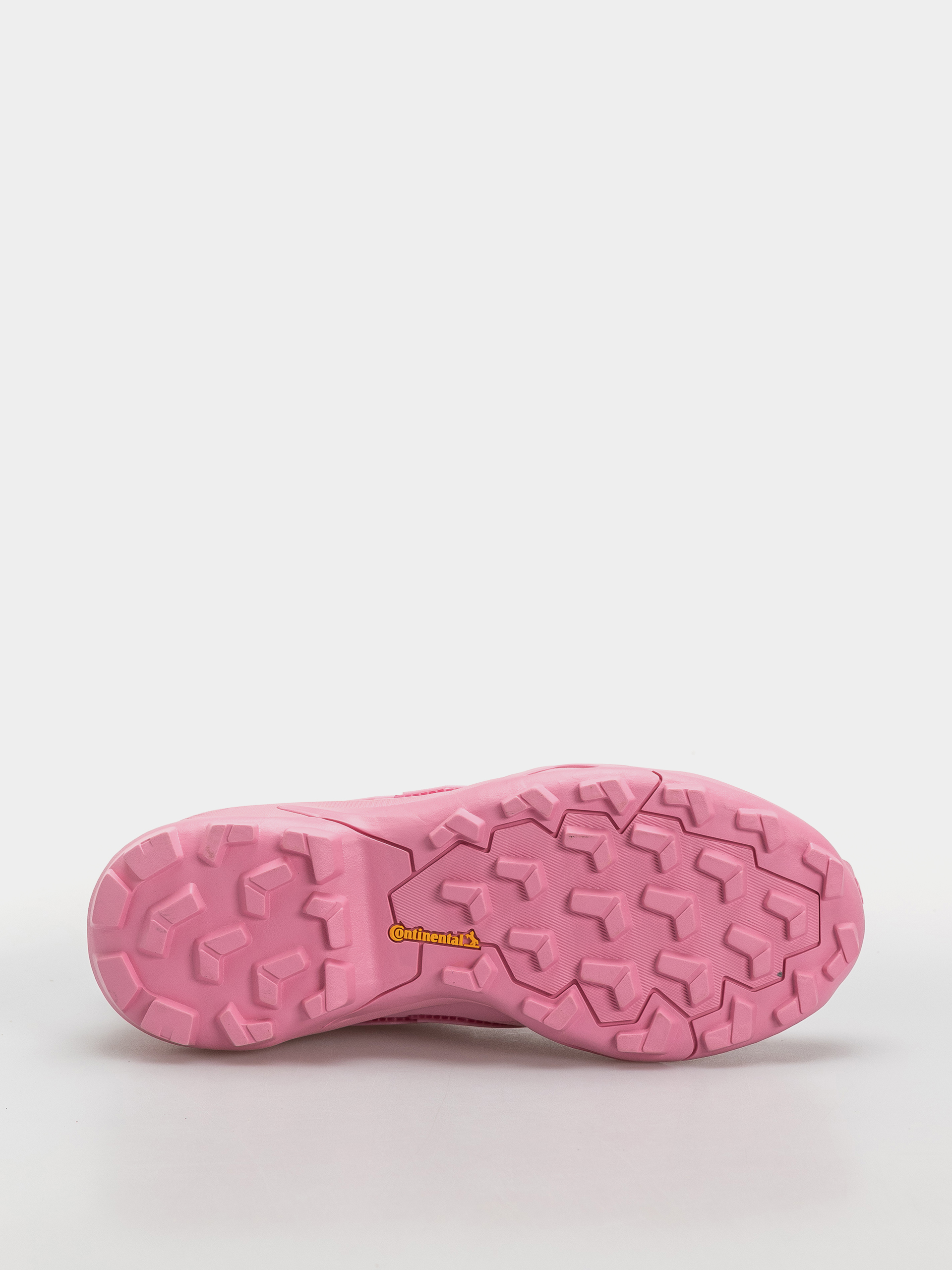adidas Terrex Skychaser Gt Wmn Shoes (sttrbl/sttrbl/carbon)