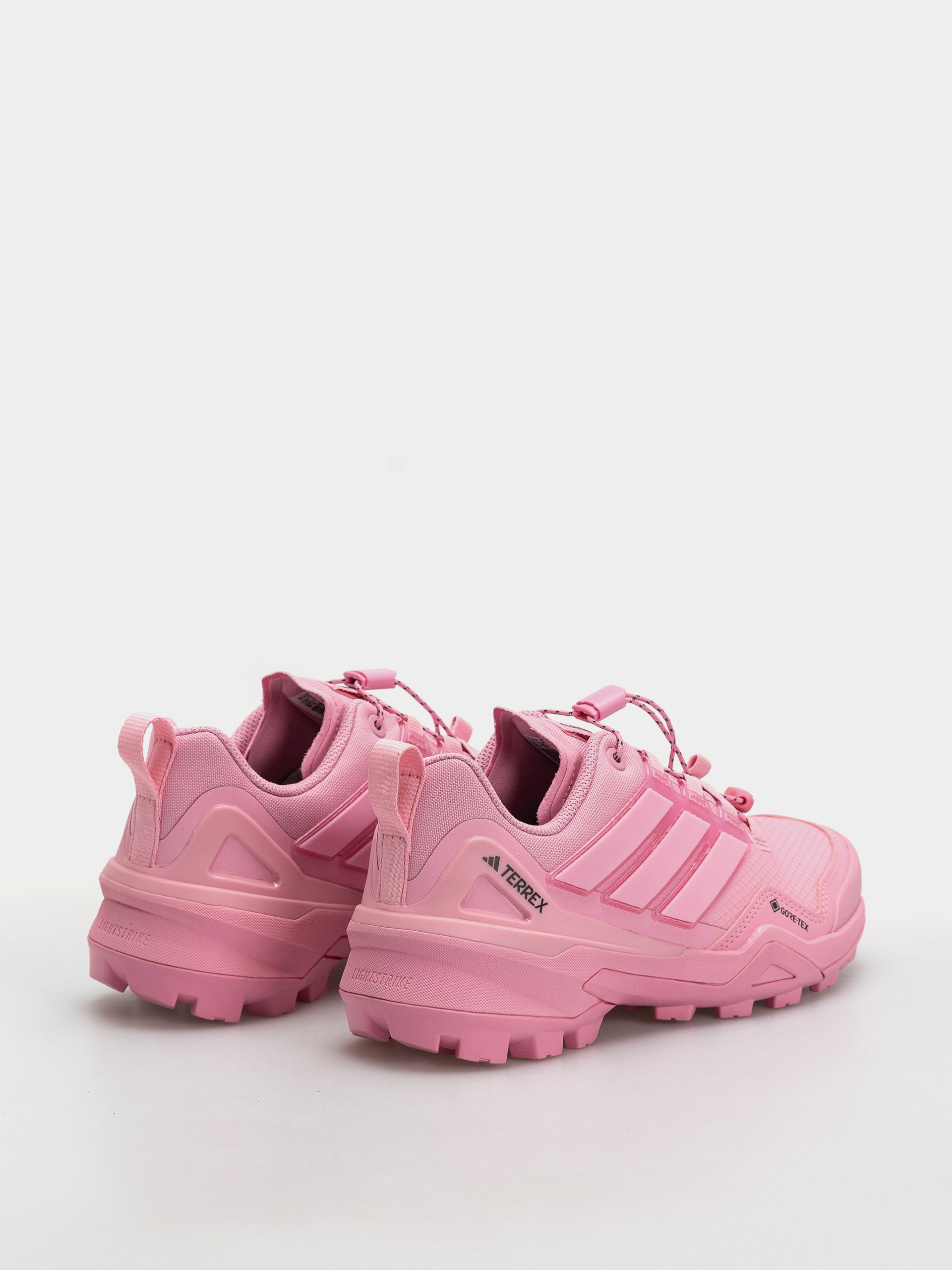 adidas Terrex Skychaser Gt Wmn Shoes (sttrbl/sttrbl/carbon)