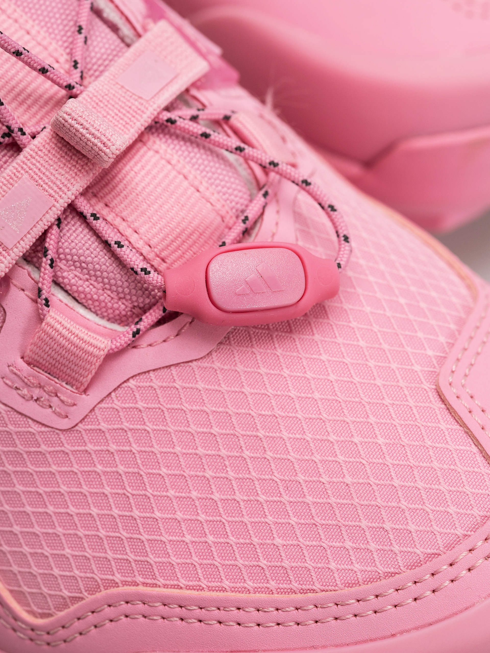 adidas Terrex Skychaser Gt Wmn Shoes (sttrbl/sttrbl/carbon)