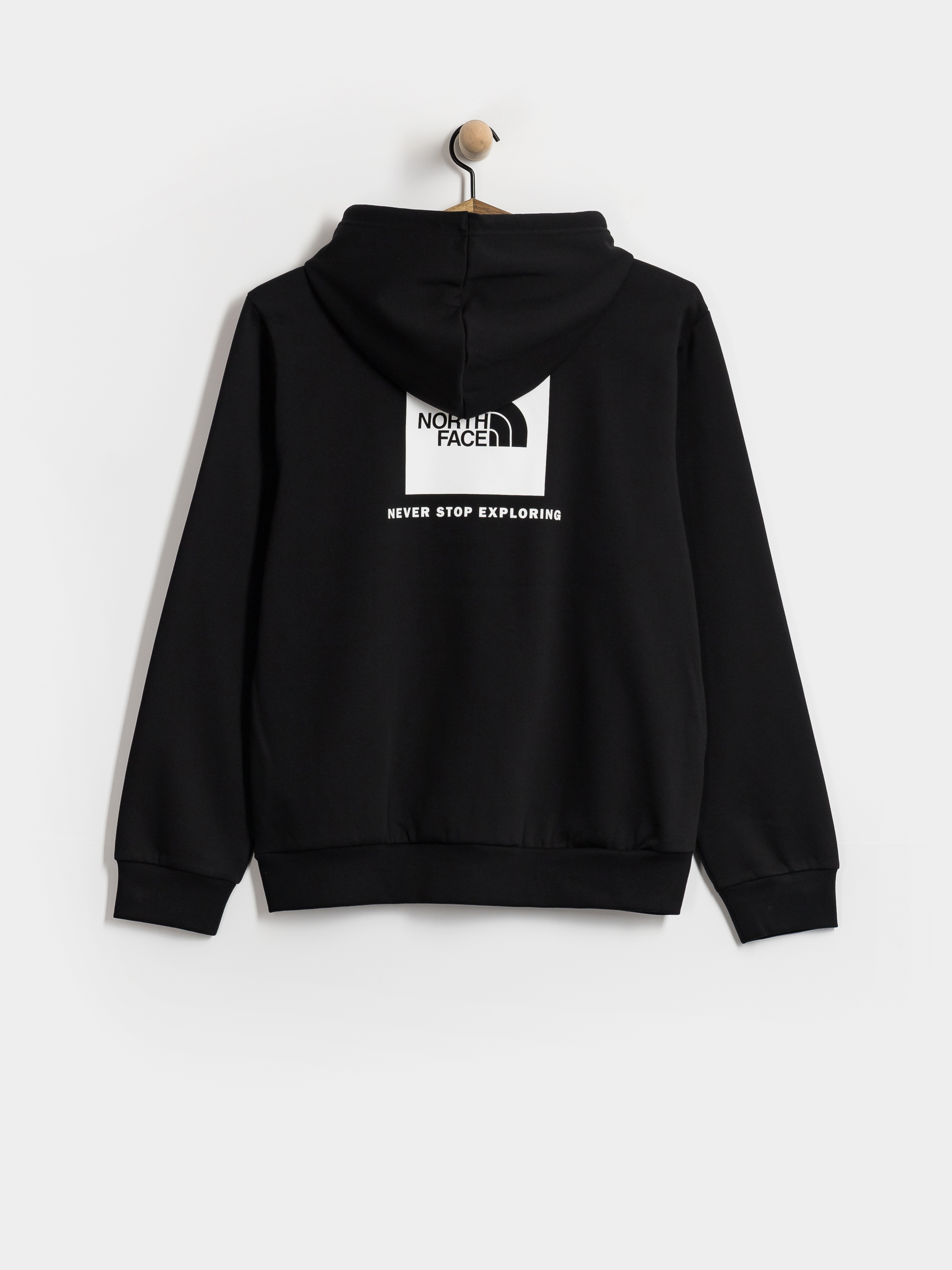 The North Face Evolution Box Nse Regular HD Hoodie (tnf black)