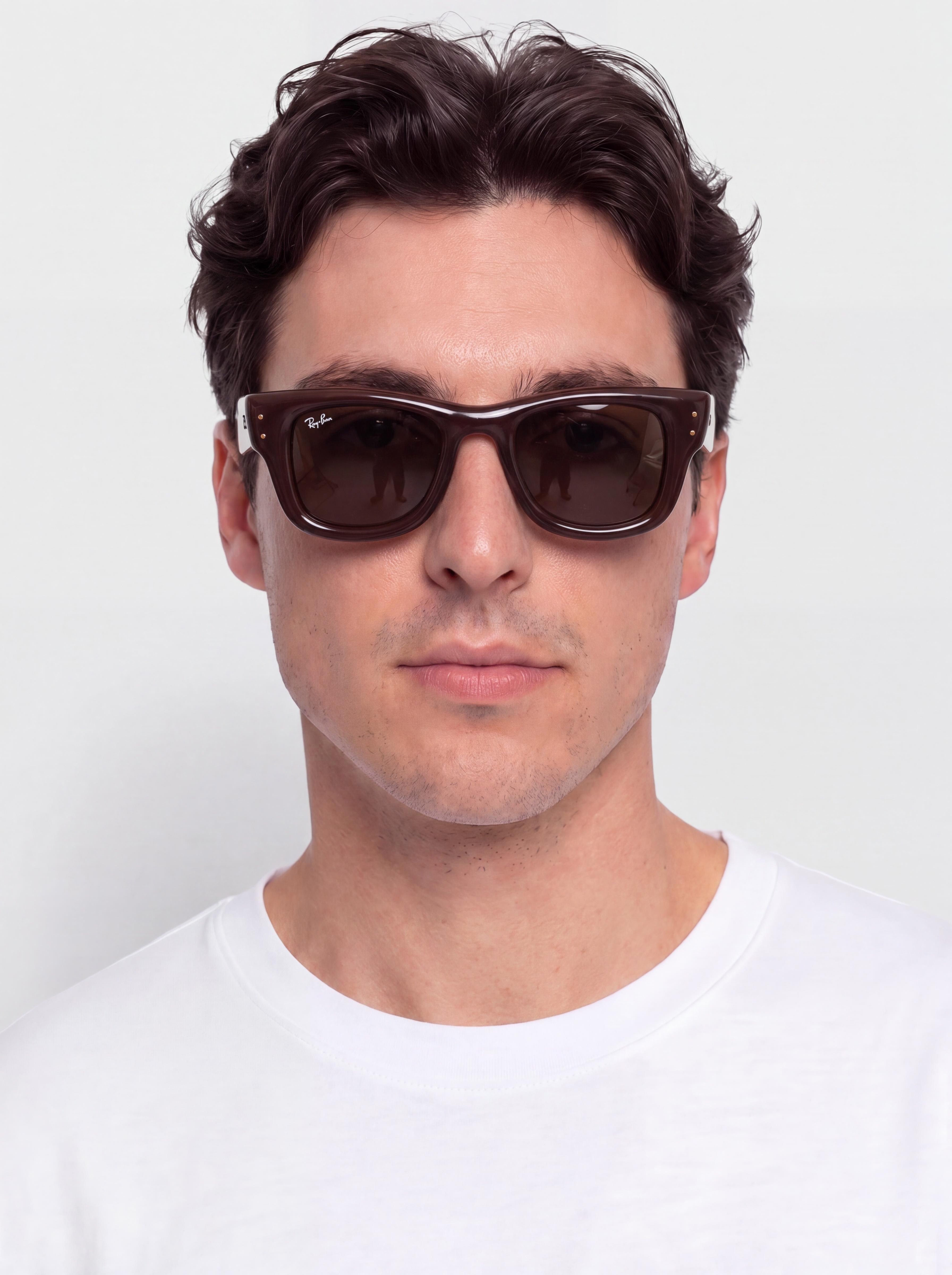 Ray-Ban Wayfarer Puffer Sonnenbrille (polerowany ciemnobrązowy/ciemnobrązowy)