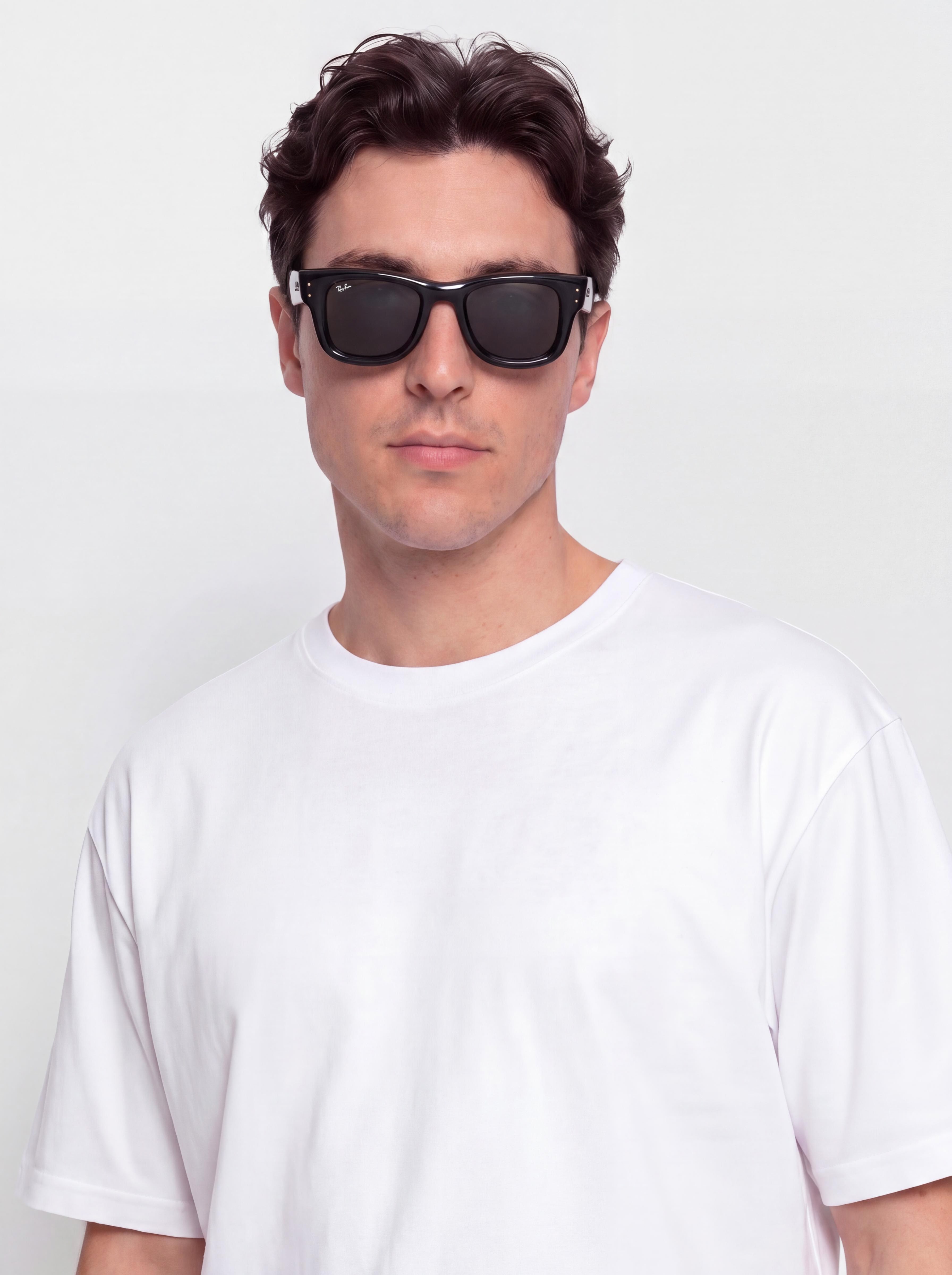 Ray-Ban Wayfarer Puffer Sunglasses