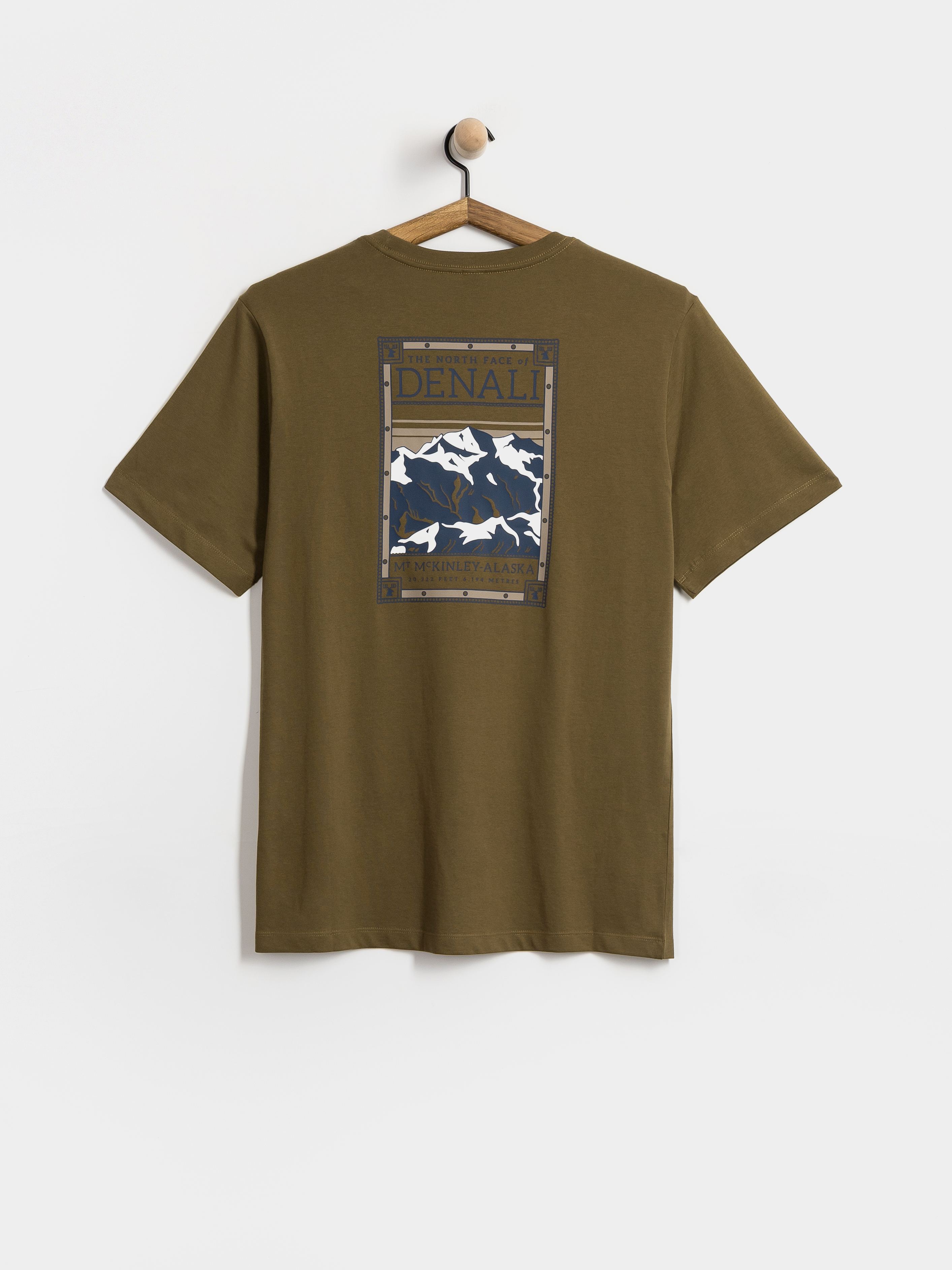 The North Face T-Shirt North Faces (caraway seed)