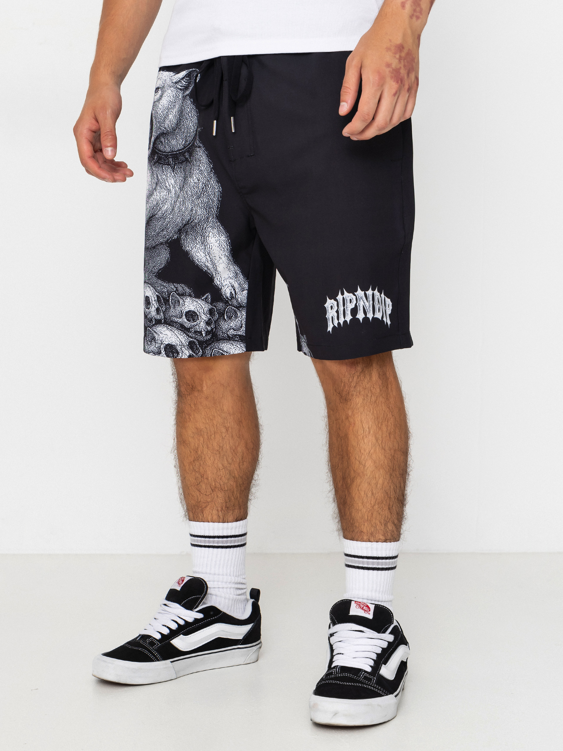 RipNDip Wasteland Swim Shorts (black)