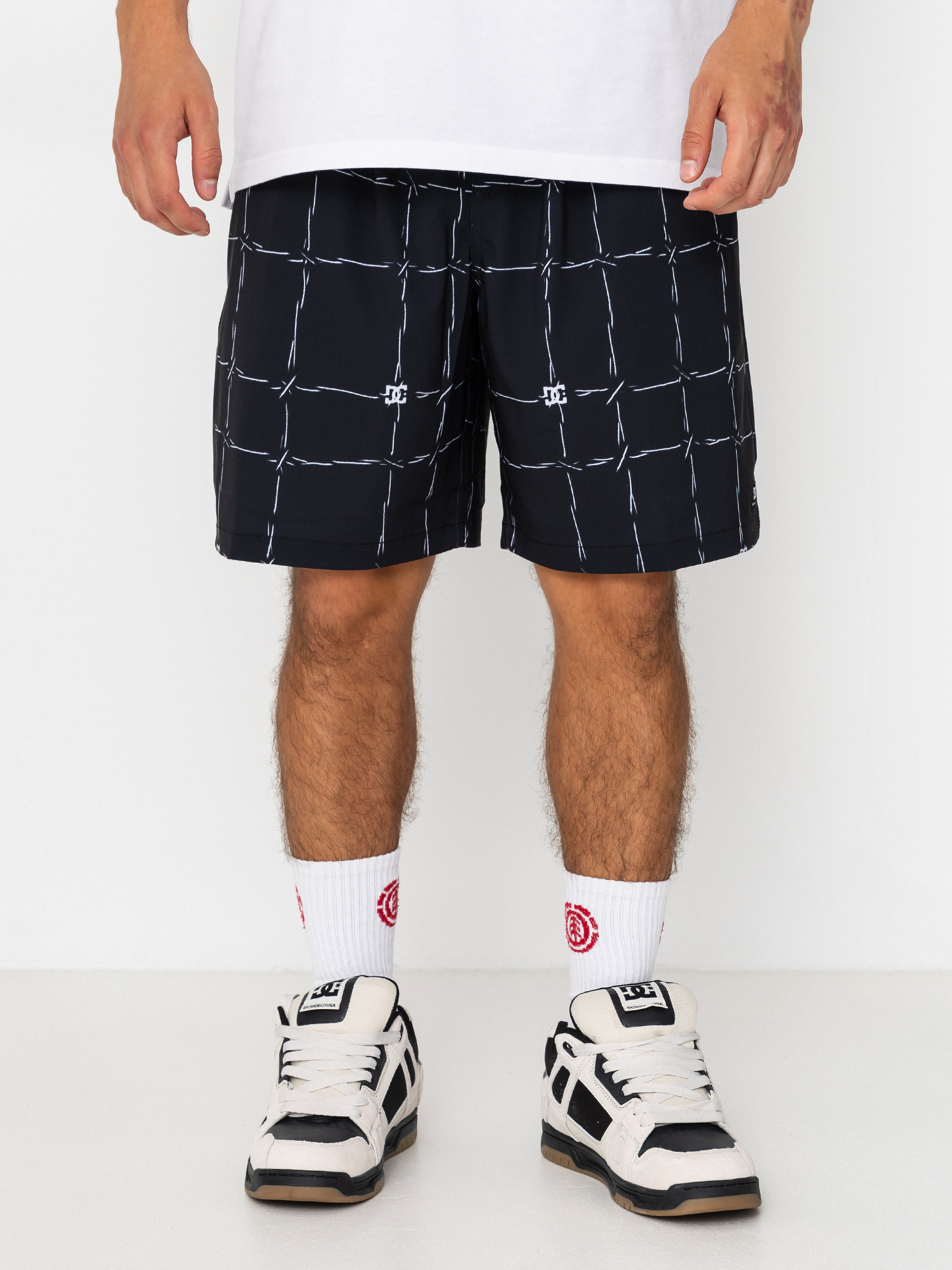 DC Wired Volley 19 Shorts