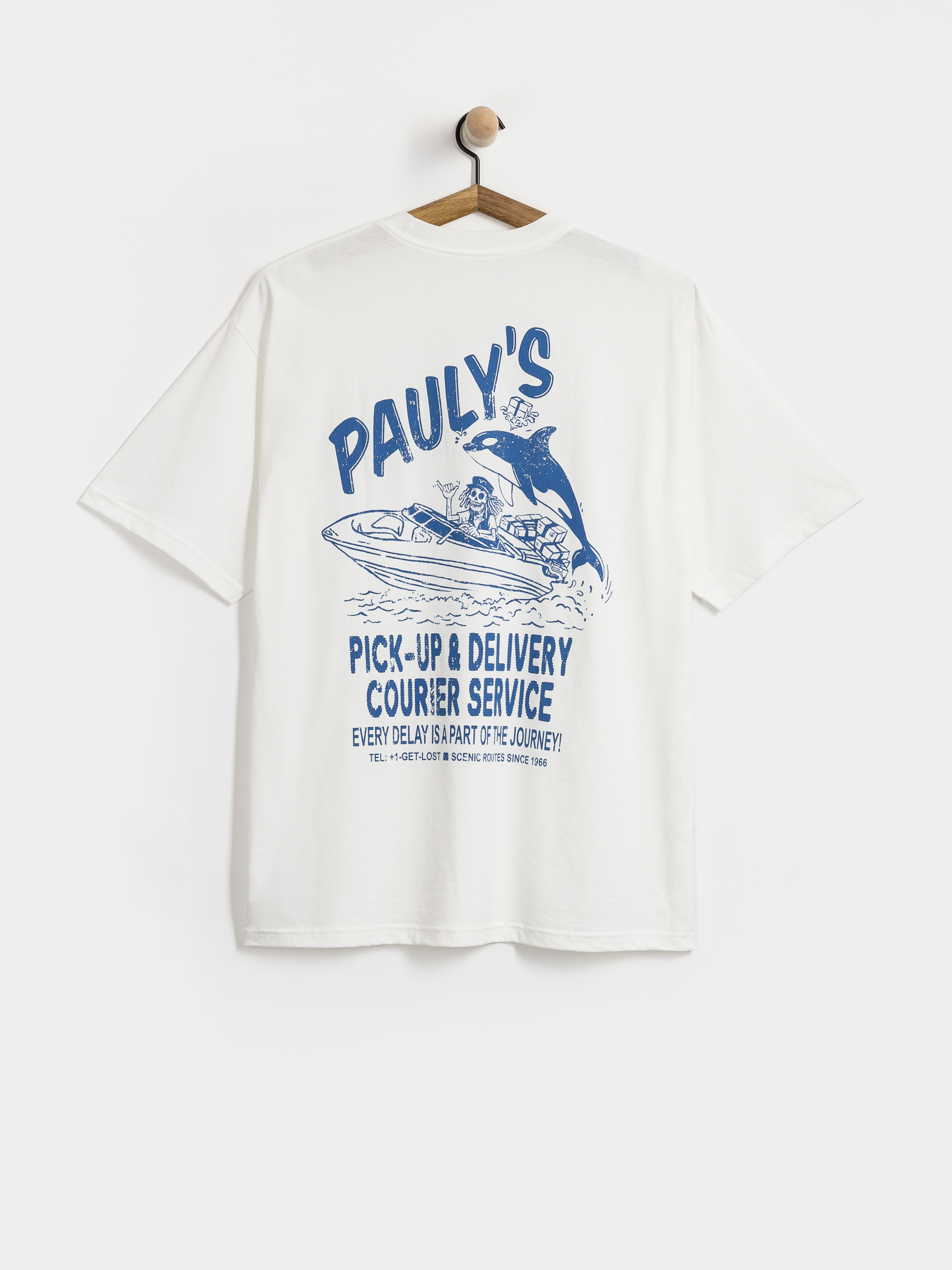 Vans PaulyS Delivery T-Shirt (white)