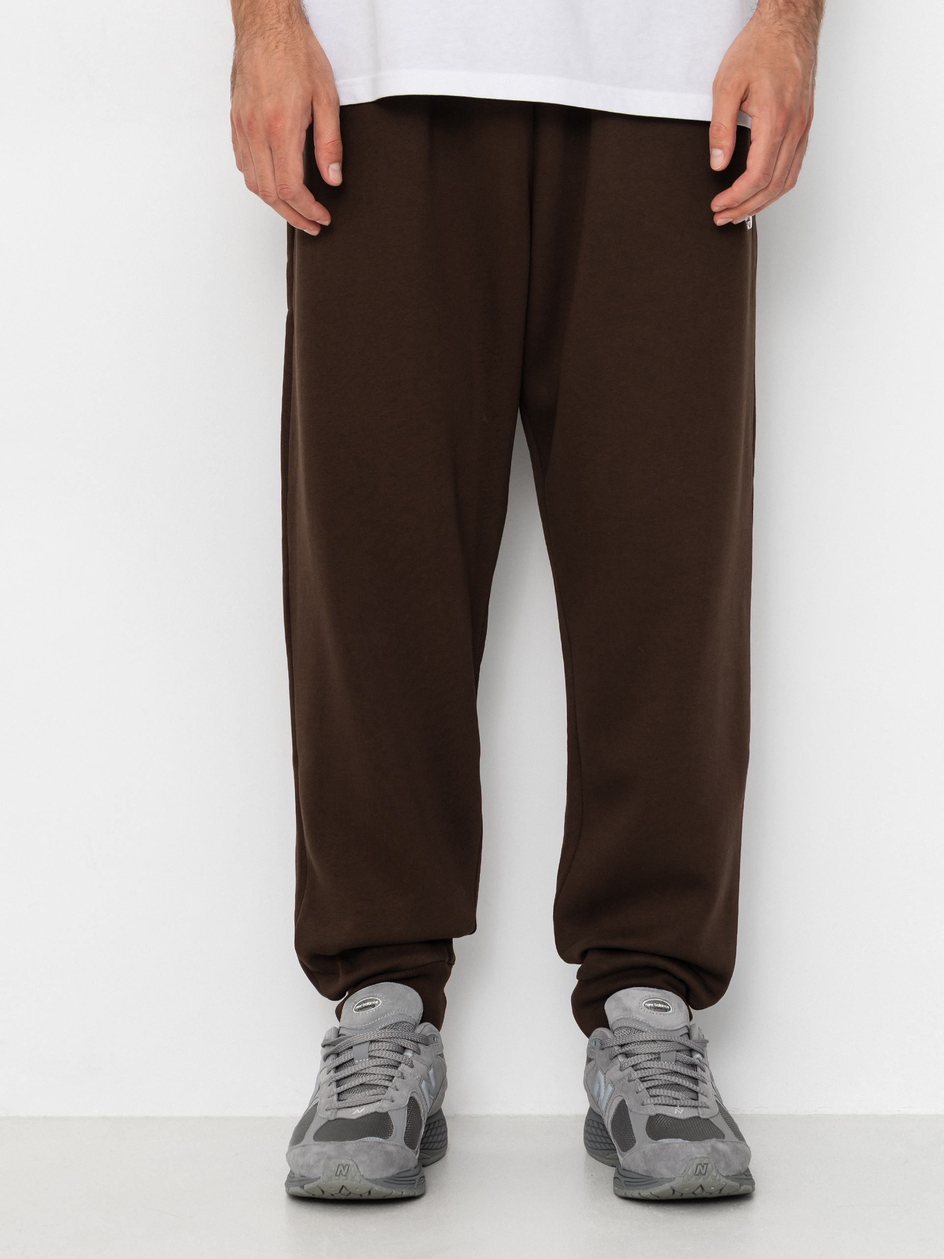 The North Face Hose Evolution Simple Dome Regular Jogger (dark chestnut)