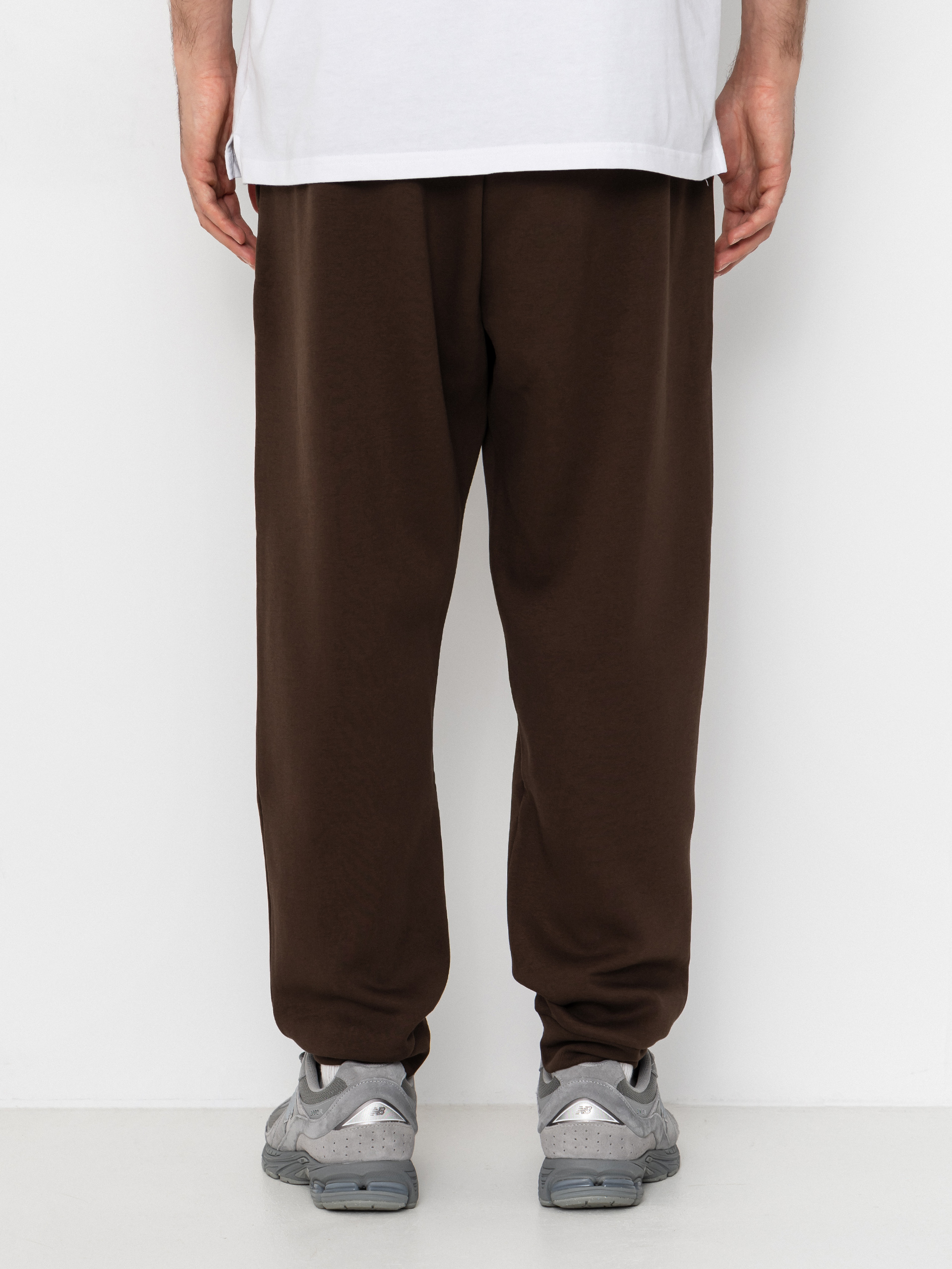 The North Face Pants Evolution Simple Dome Regular Jogger (dark chestnut)