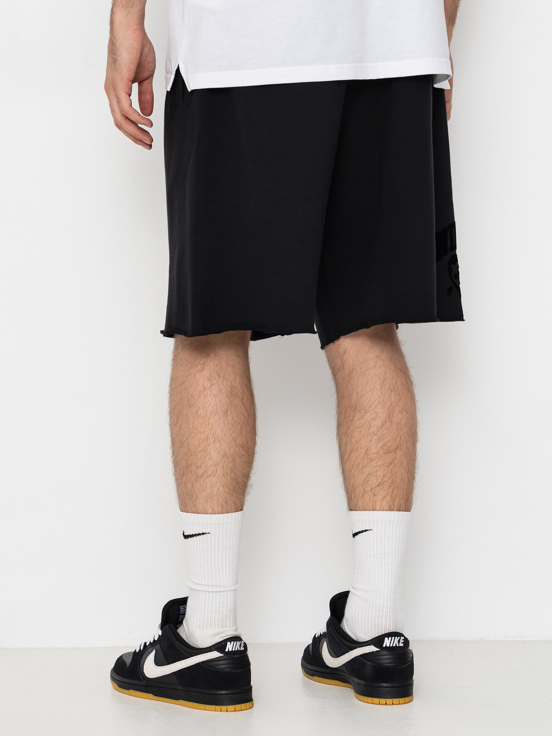 Nike SB Gfx Flc Shorts (black/white)