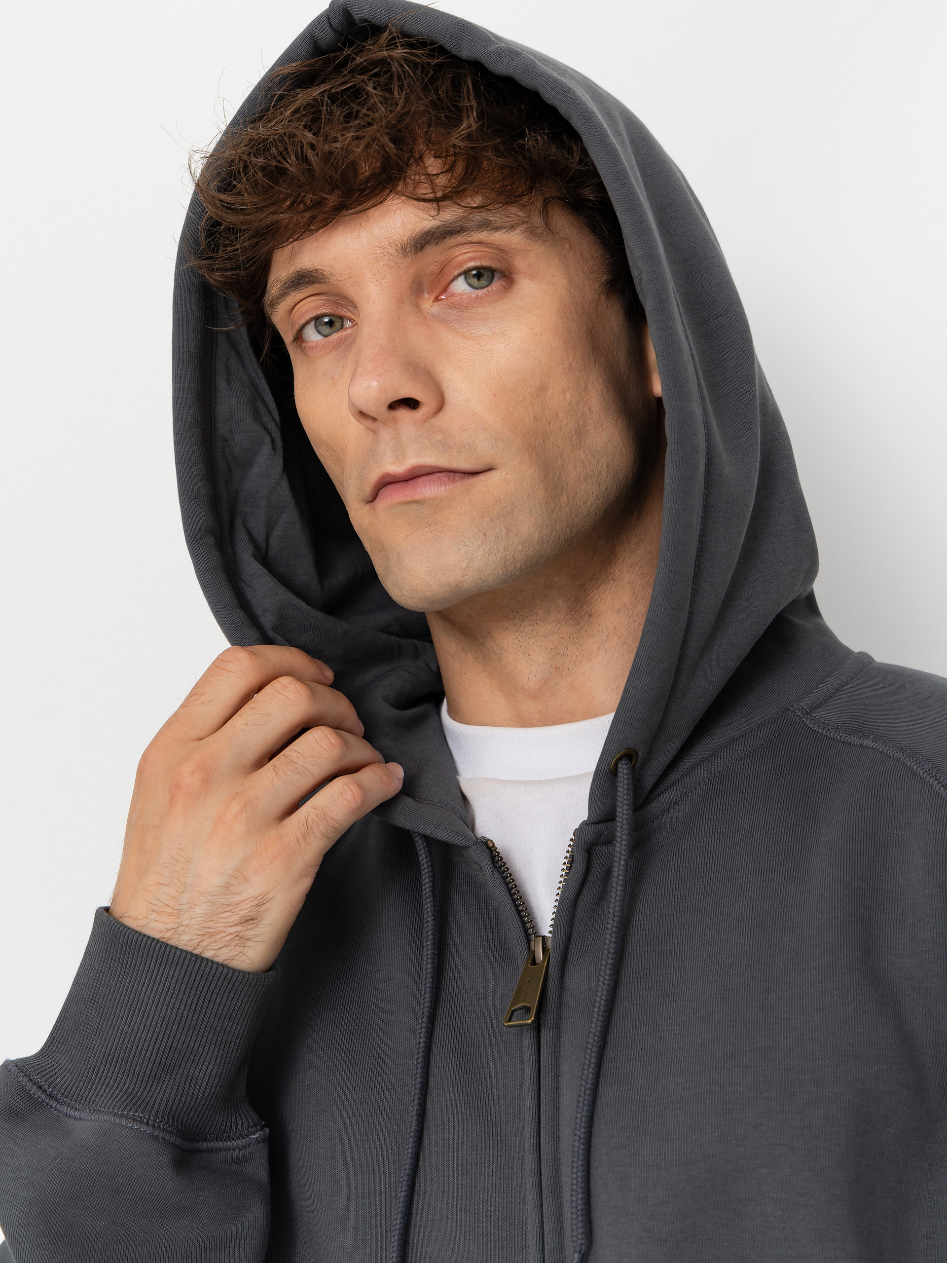 Carhartt WIP Chase ZHD Hoodie (styx/gold)
