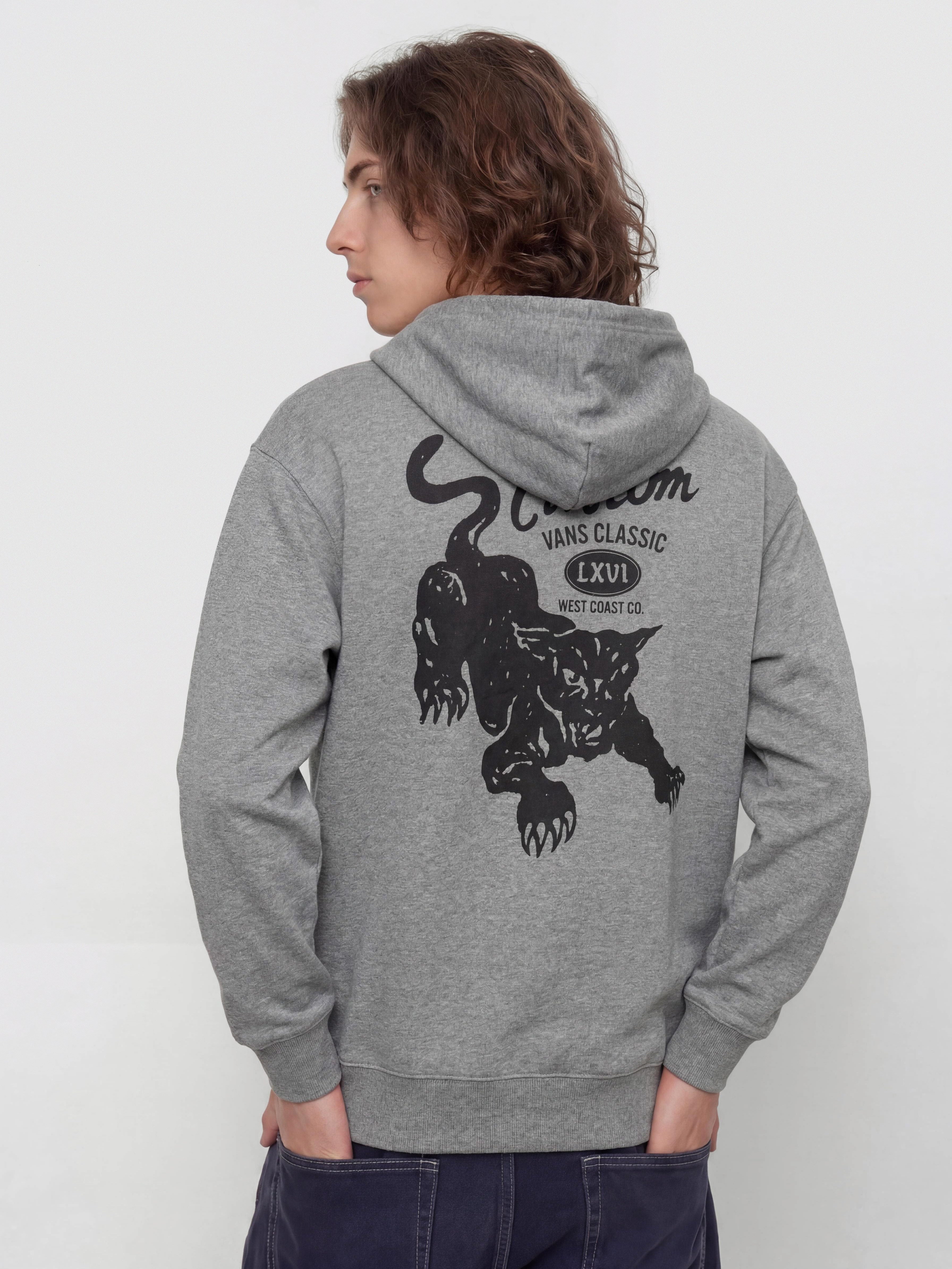 Vans Hoodie Custom Cat HD (cement heather)