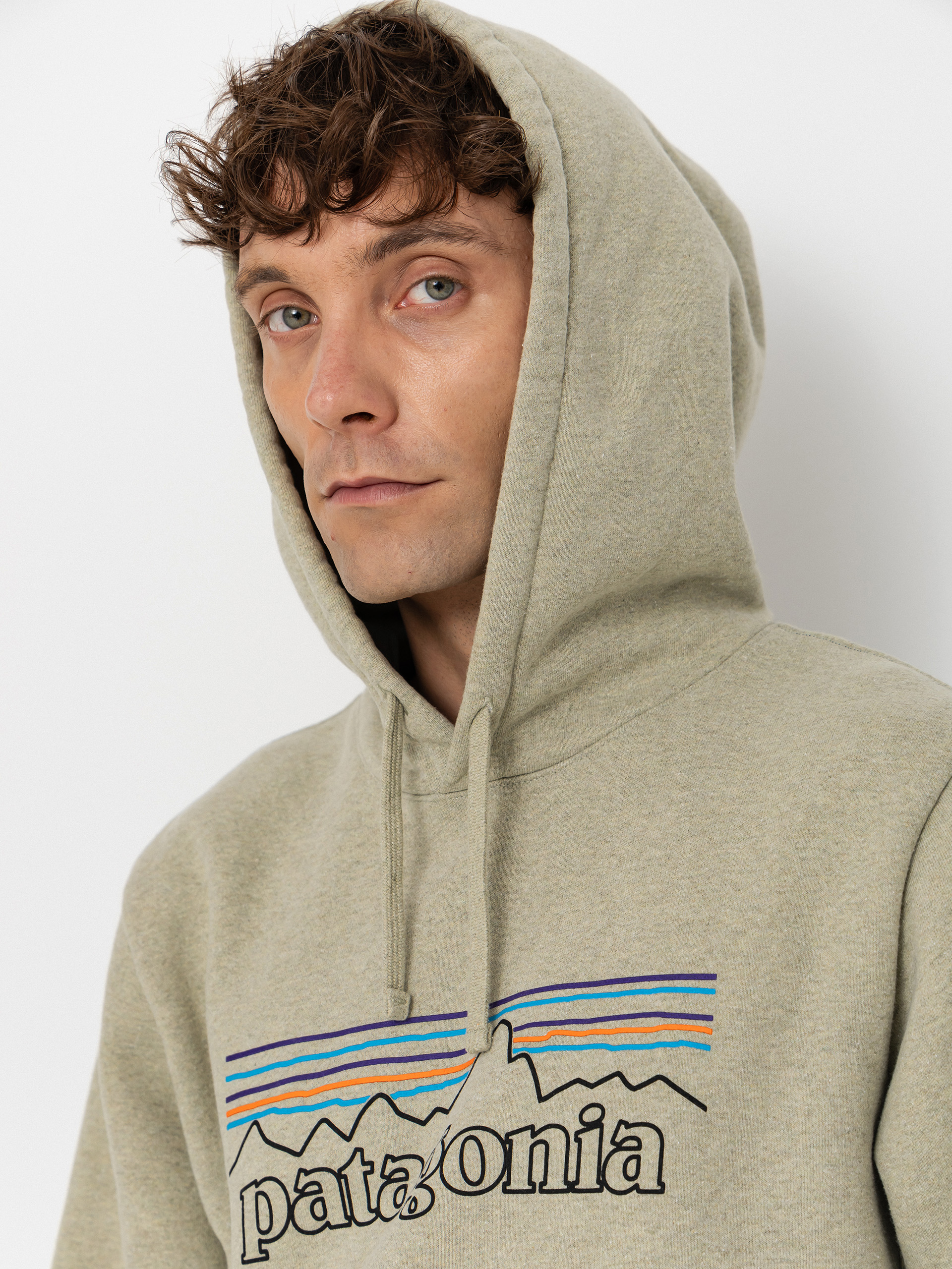 Patagonia P 6 Logo Uprisal HD Hoodie (p 6 outline/gumtree green)