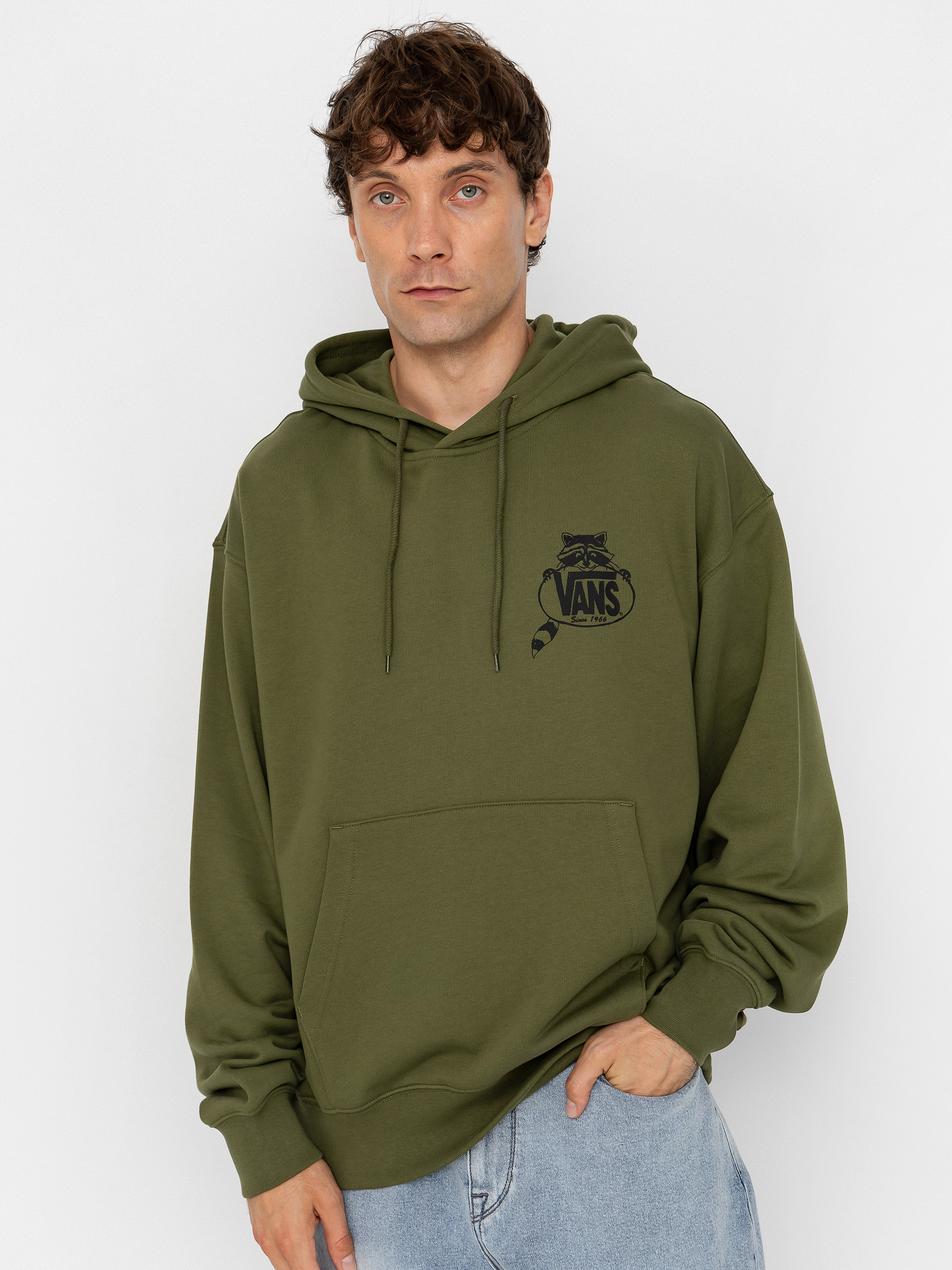 Vans Hoodie Trashy HD (green balsam)