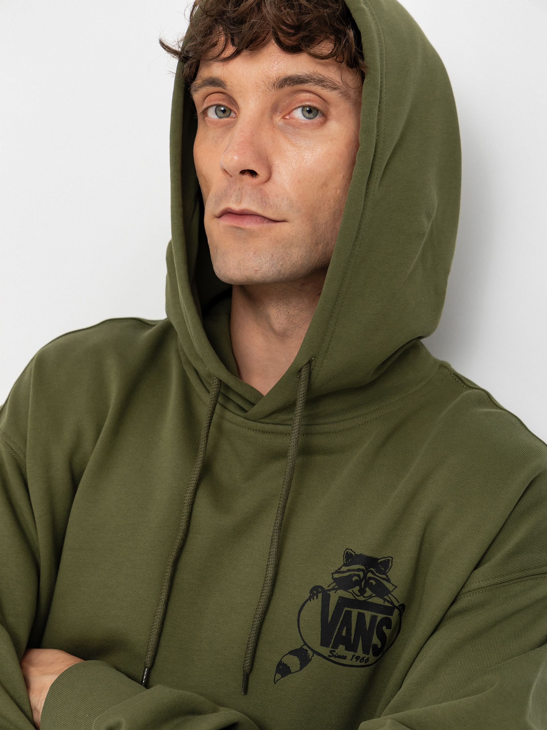 Vans Hoodie Trashy HD (green balsam)