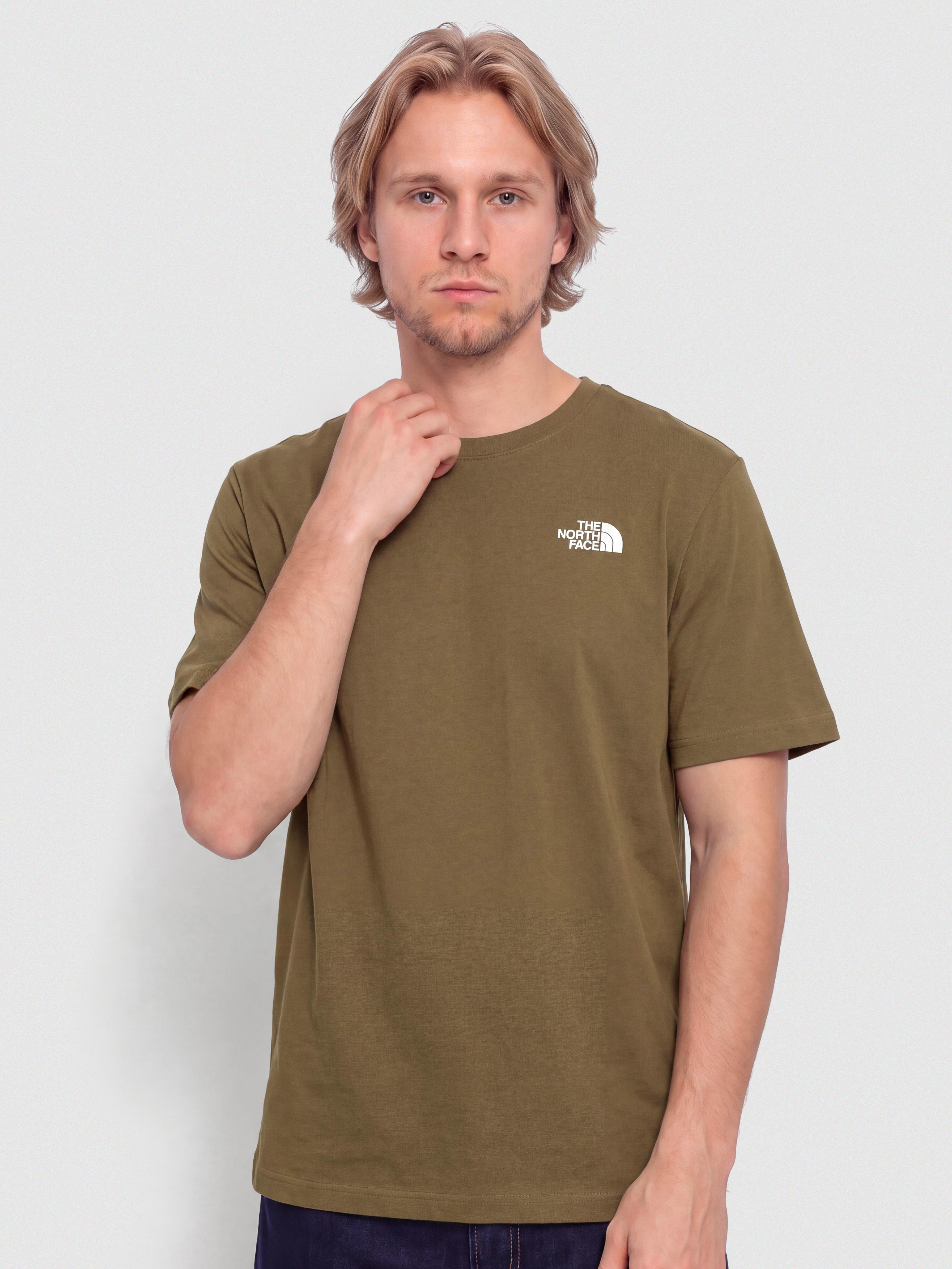 The North Face Evolution Box Nse T-Shirt (caraway seed)