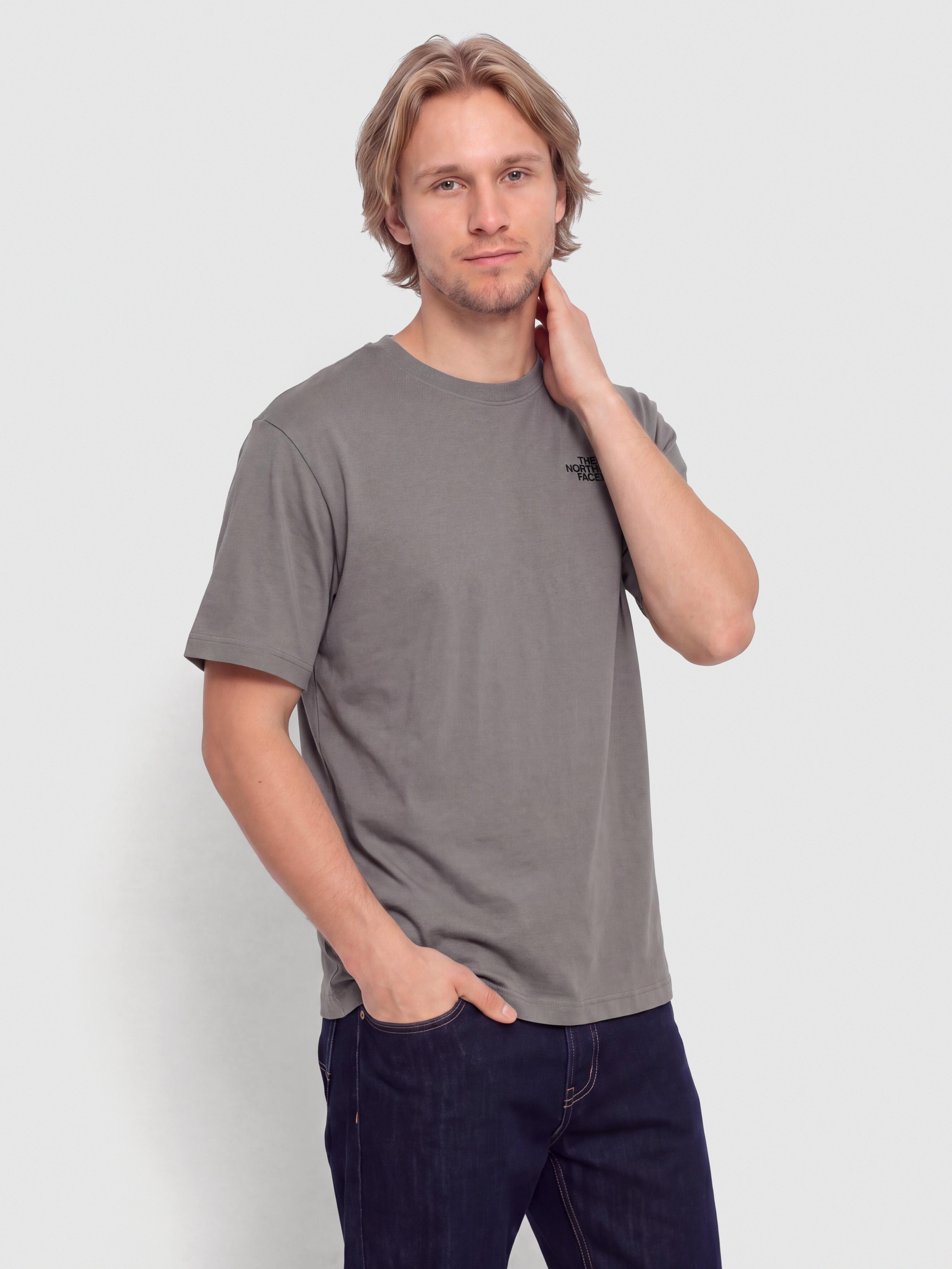 The North Face 60Th Anniversary 2 Relaxed T-Shirt (smoked pearl)