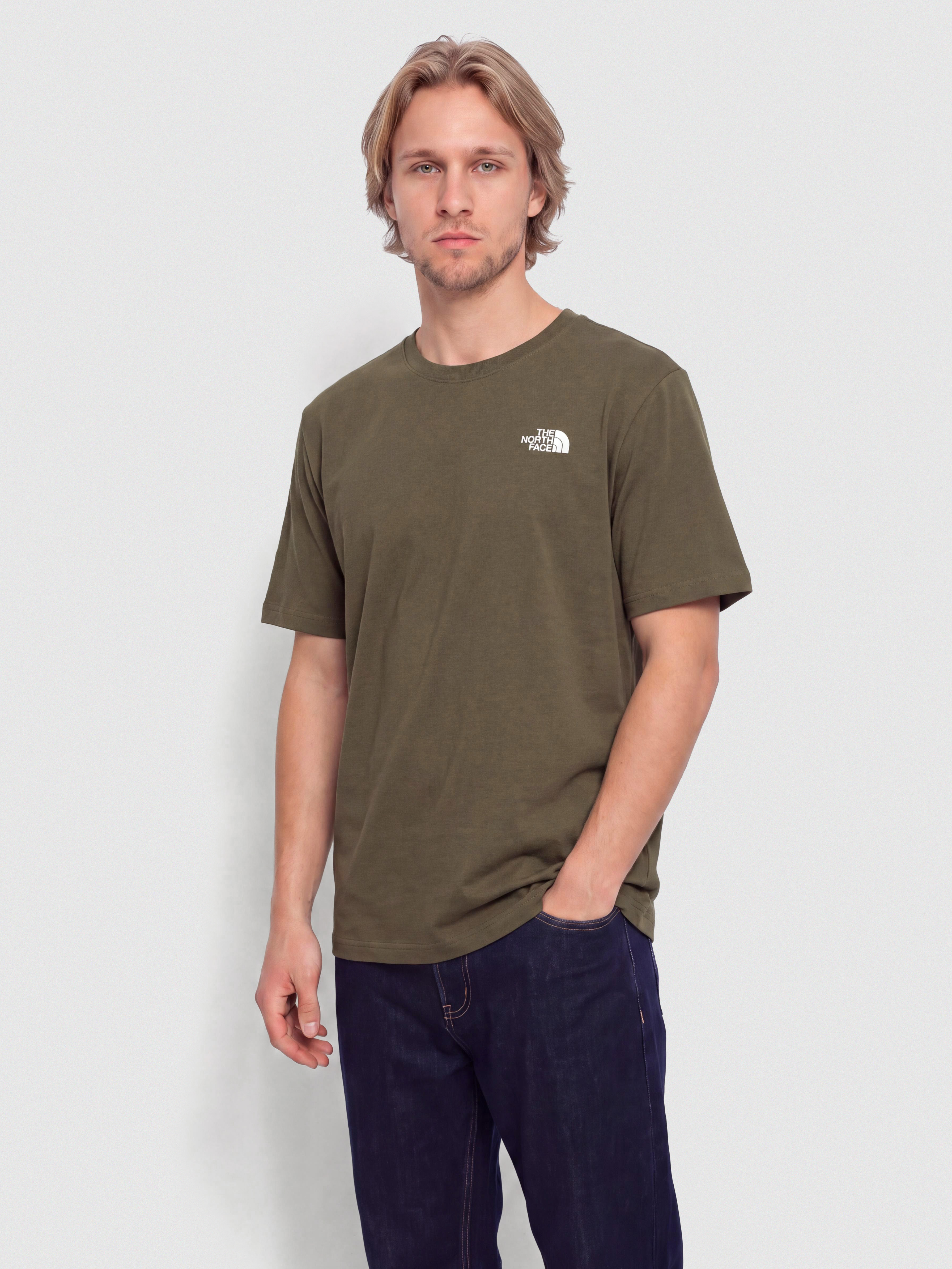The North Face T-Shirt Box Nse Celebration (new taupe green)