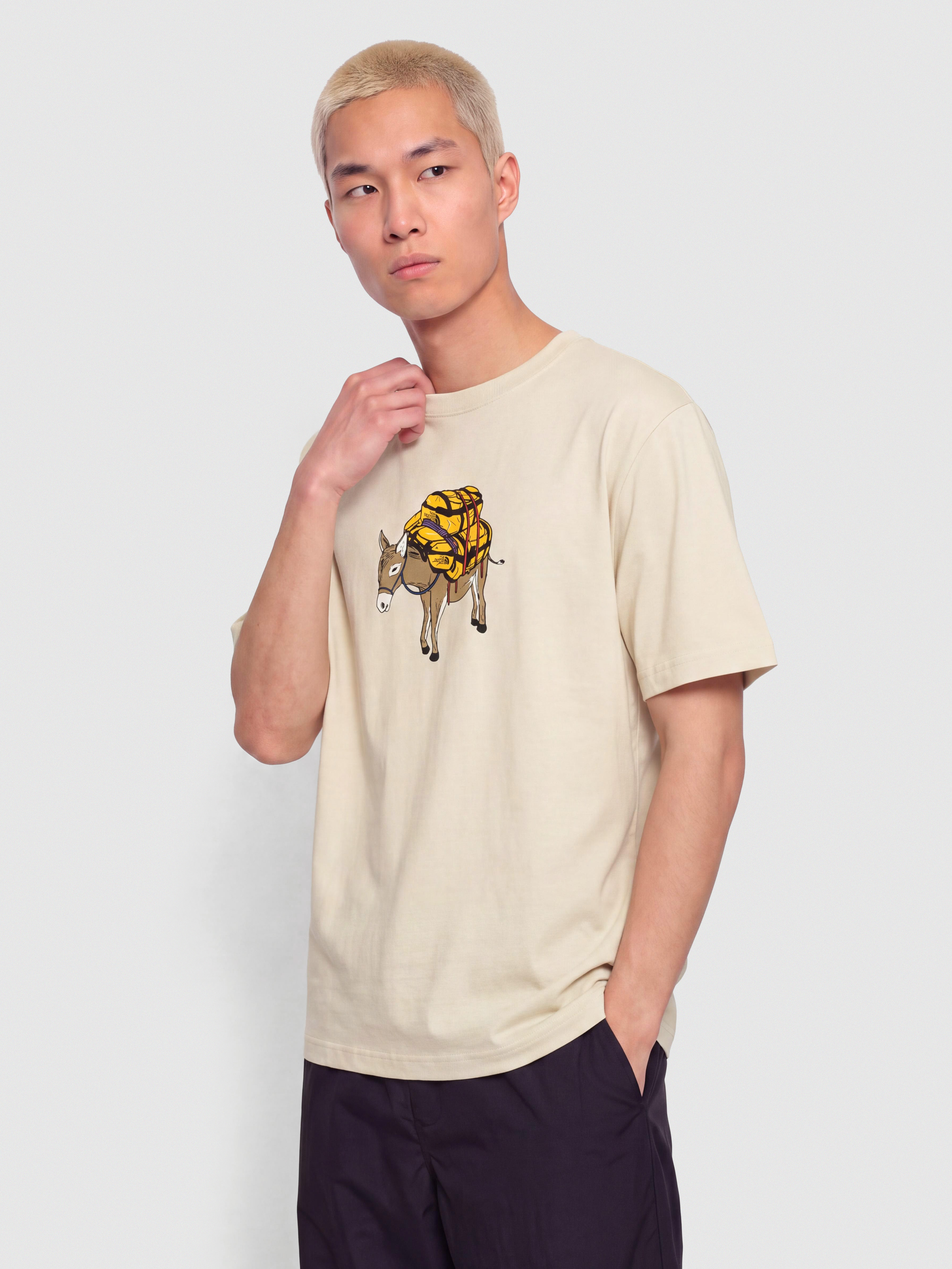 The North Face Donkey Taxi Relaxed T-Shirt (desert stone)