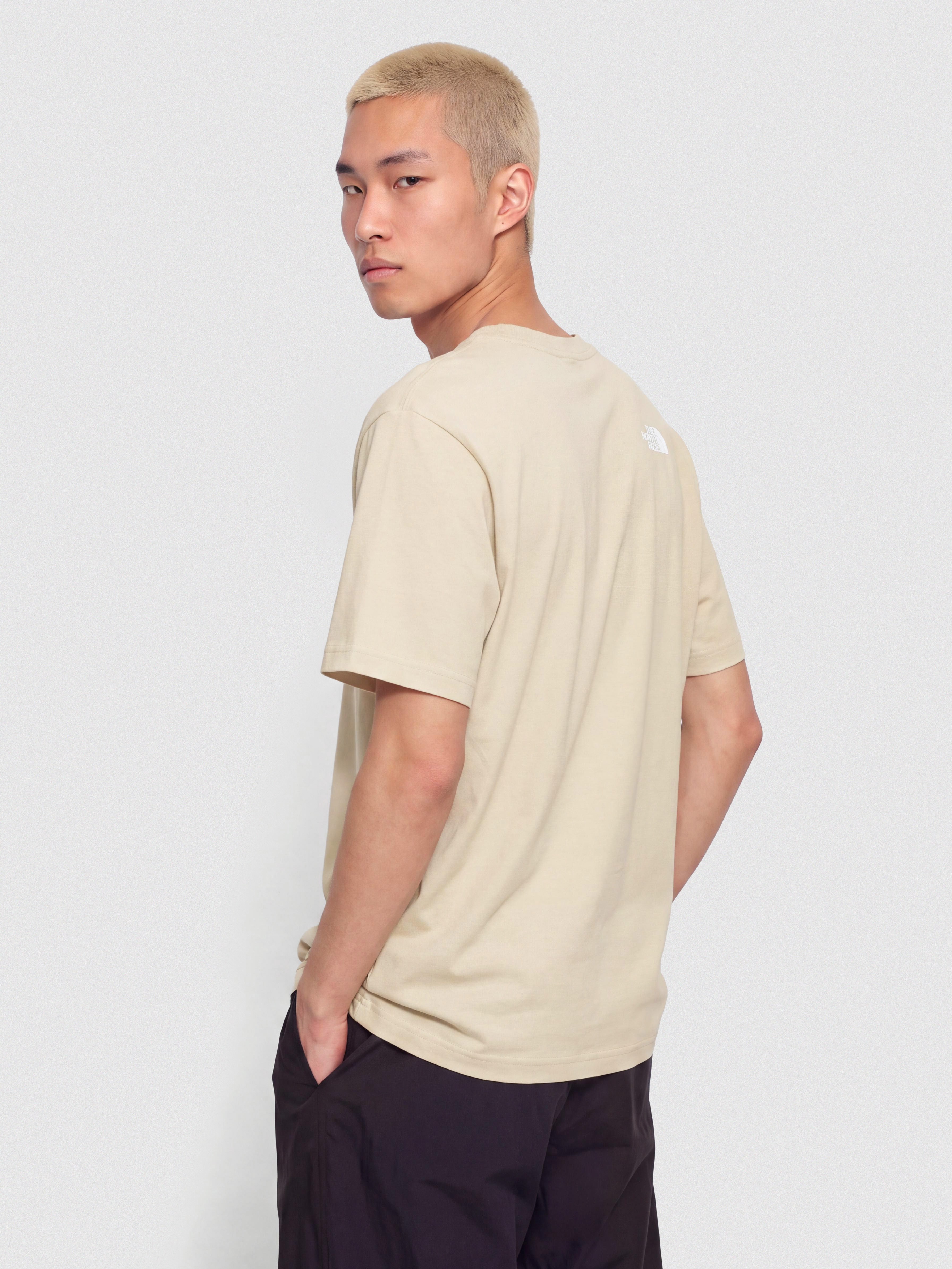 The North Face Donkey Taxi Relaxed T-Shirt (desert stone)