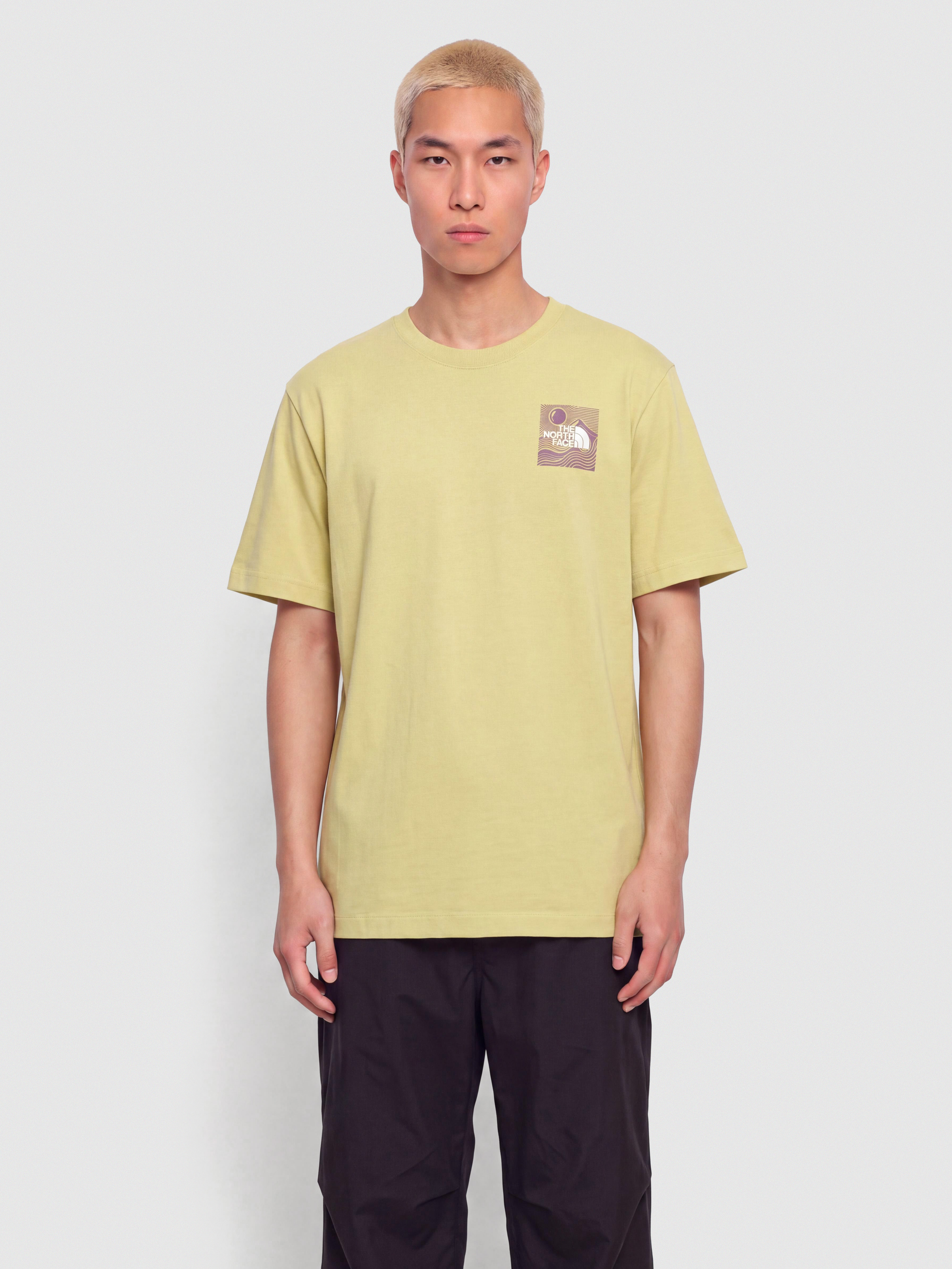 The North Face Mountain Escape Relaxed T-Shirt (pear)
