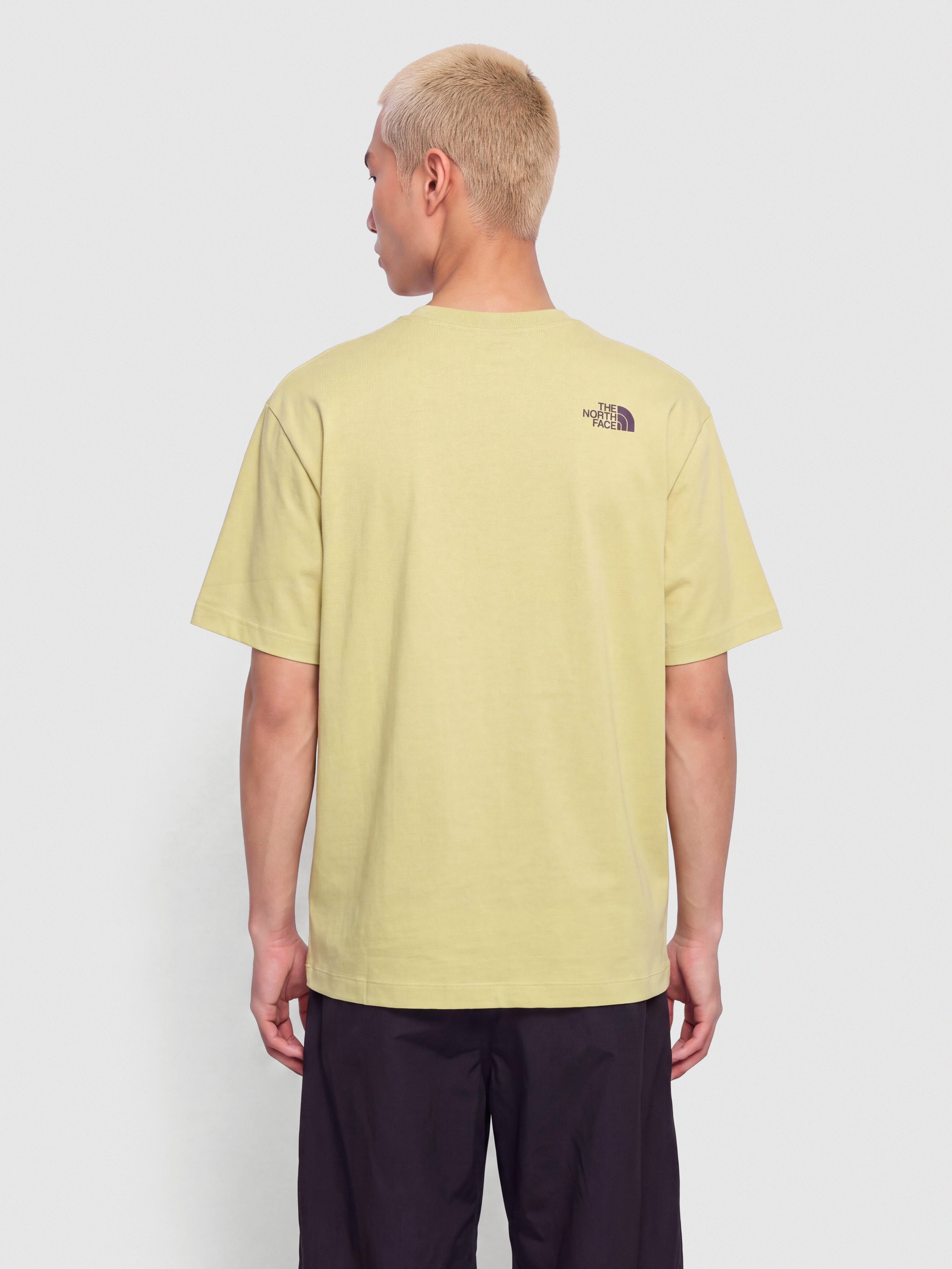 The North Face Mountain Play Relaxed T-Shirt (pear)