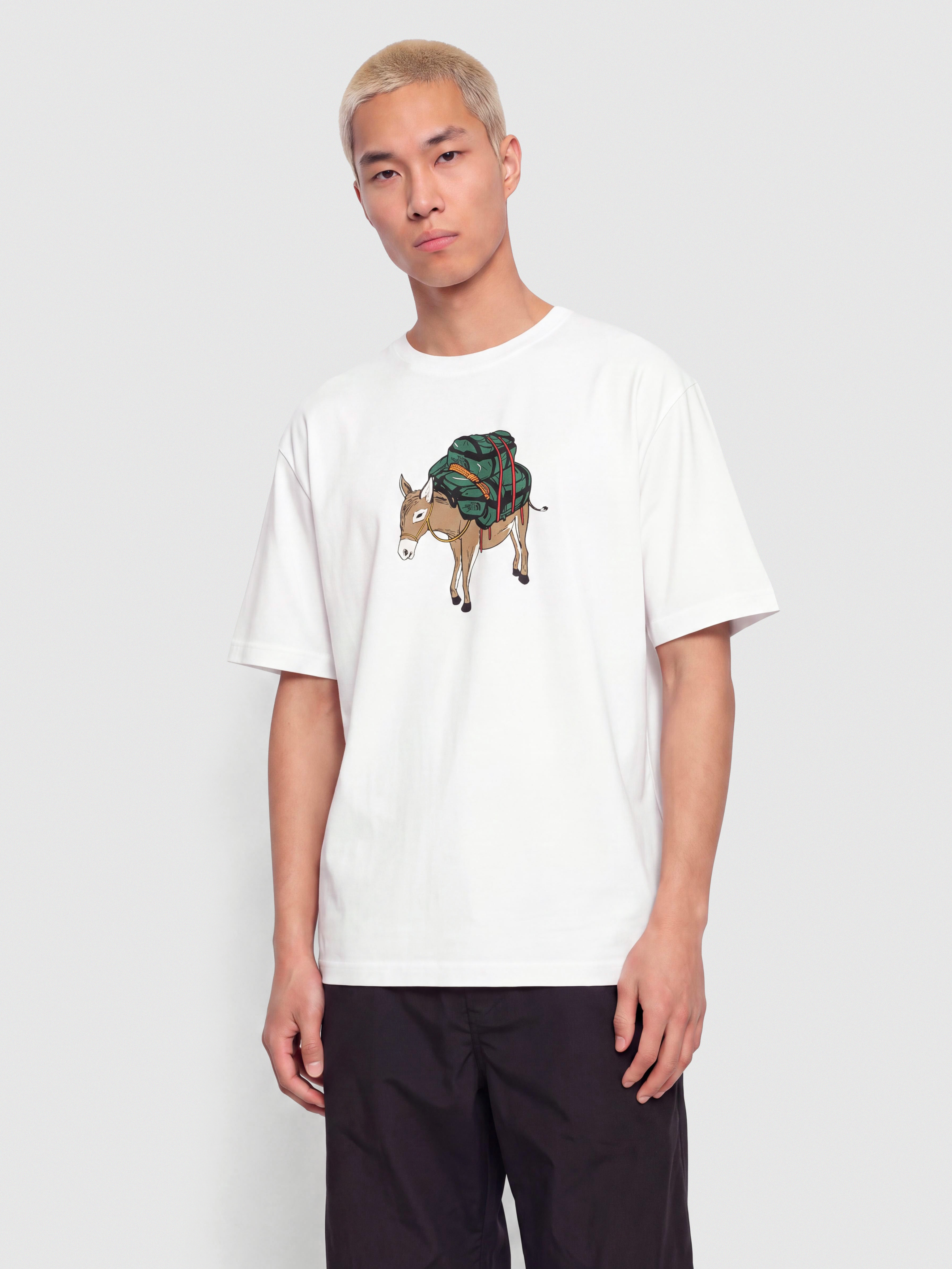 The North Face Donkey Taxi Relaxed T-Shirt (tnf white)