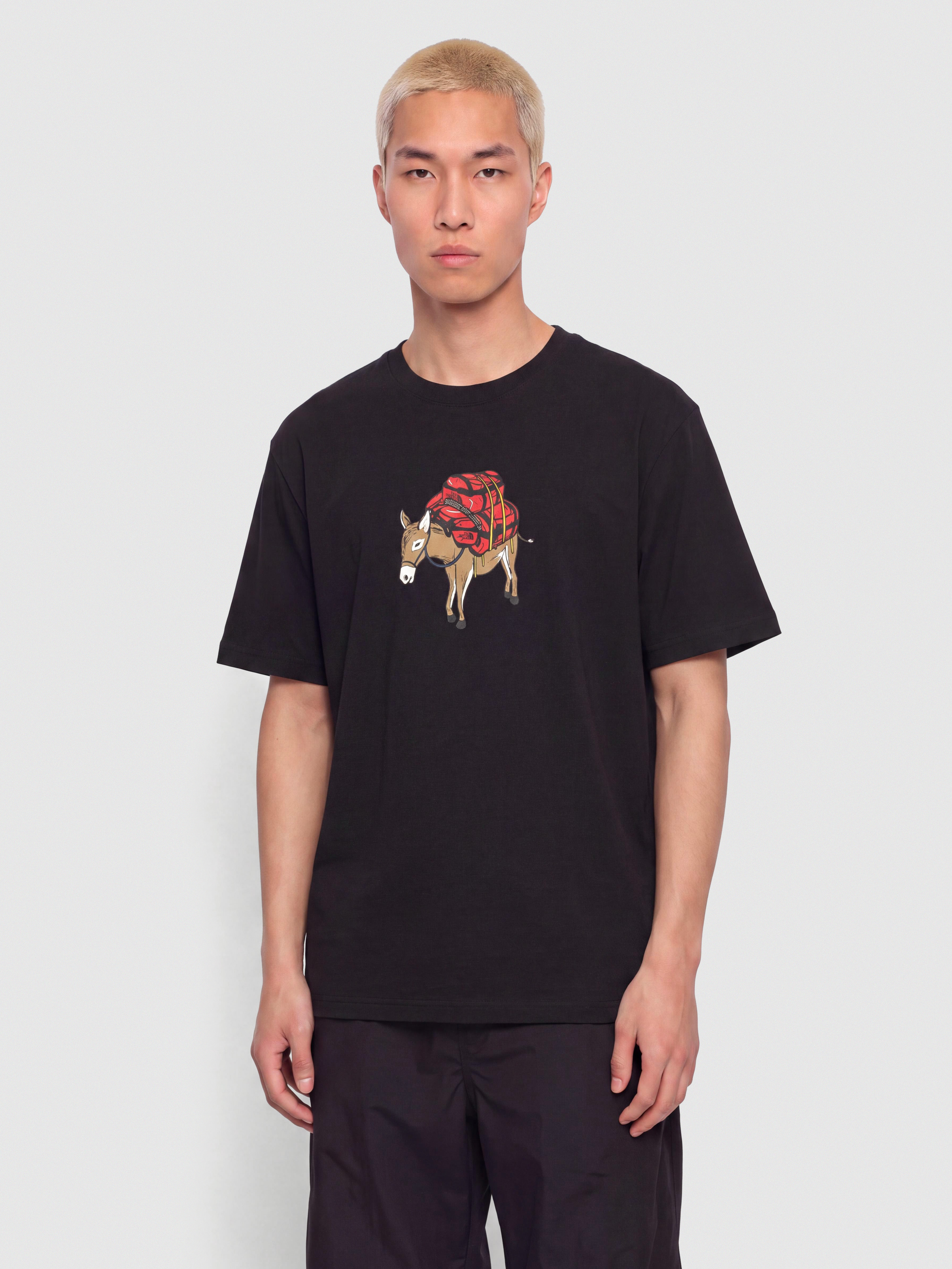 The North Face Donkey Taxi Relaxed T-Shirt (tnf black)